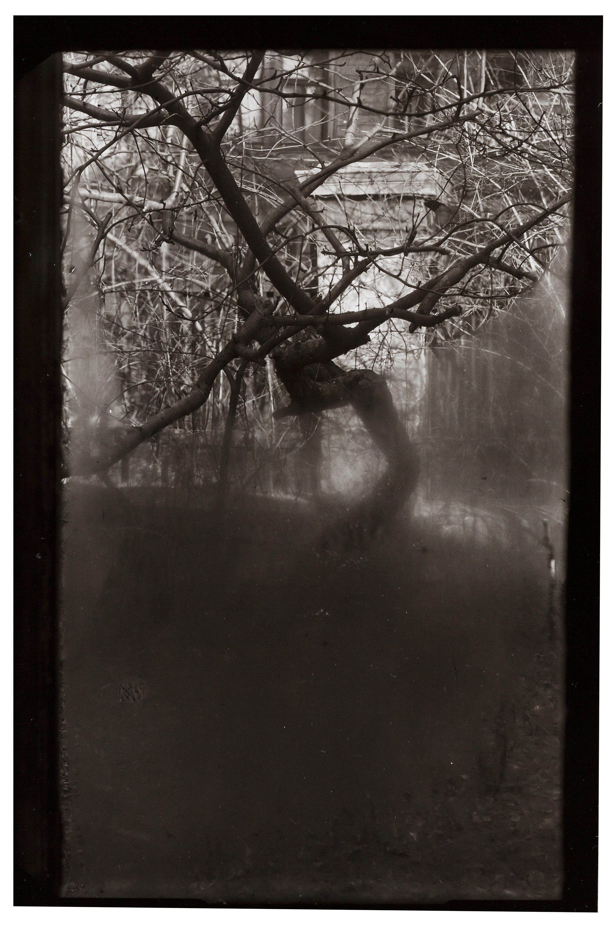 JOSEF SUDEK (1896–1976), The Window of My Studio, 1940–1954