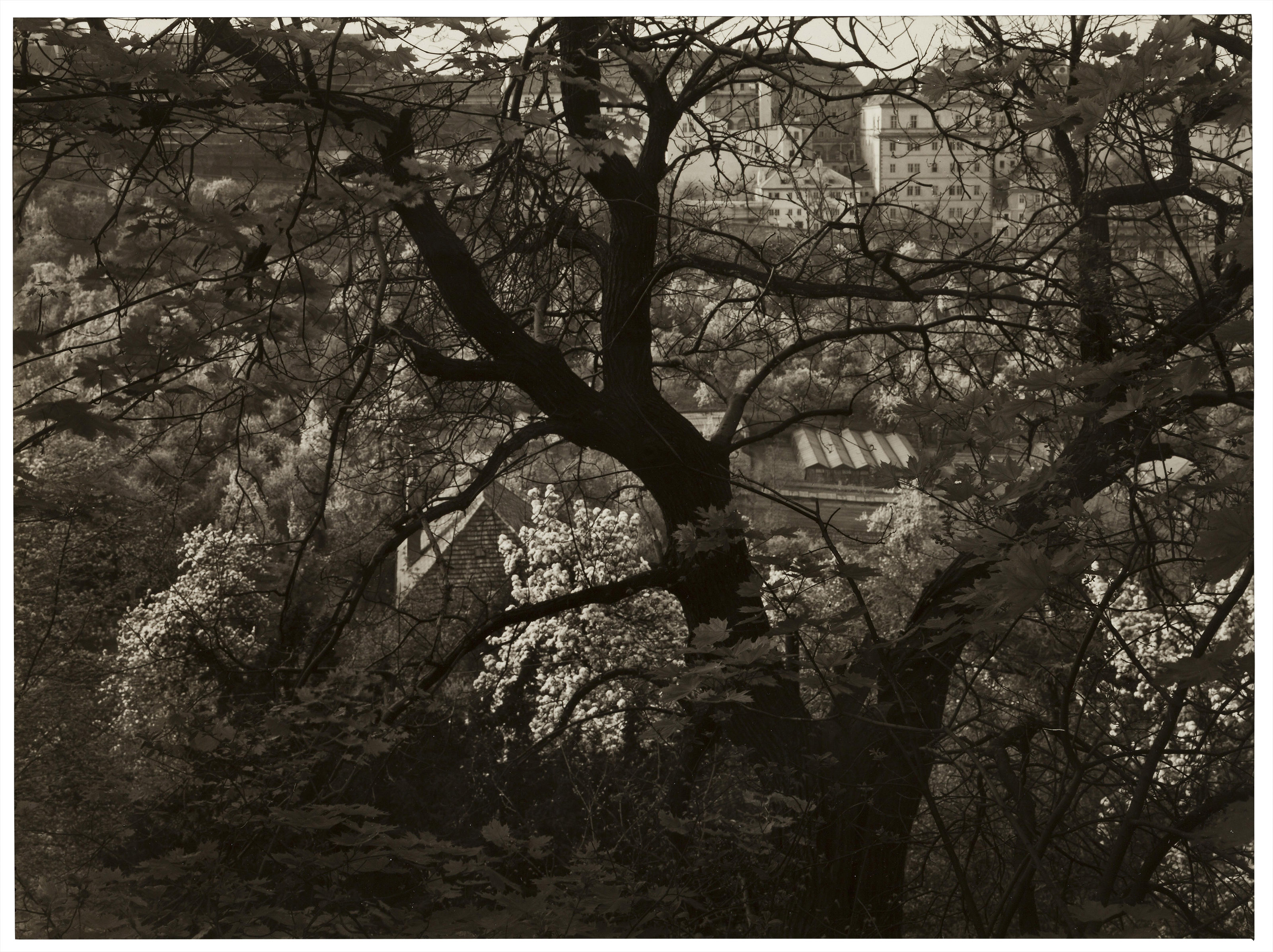 JOSEF SUDEK (1896–1976), River panorama, 1950s | Christie's