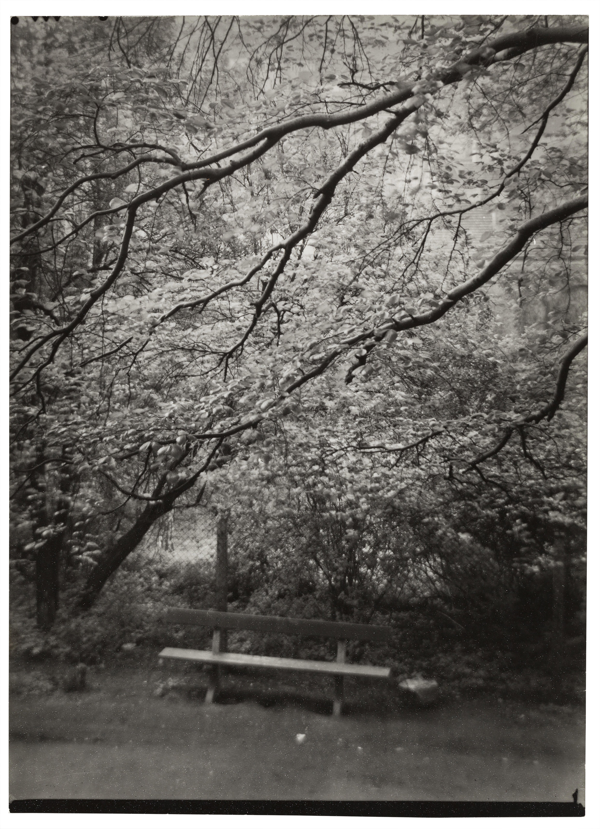 JOSEF SUDEK (1896–1976), River panorama, 1950s | Christie's