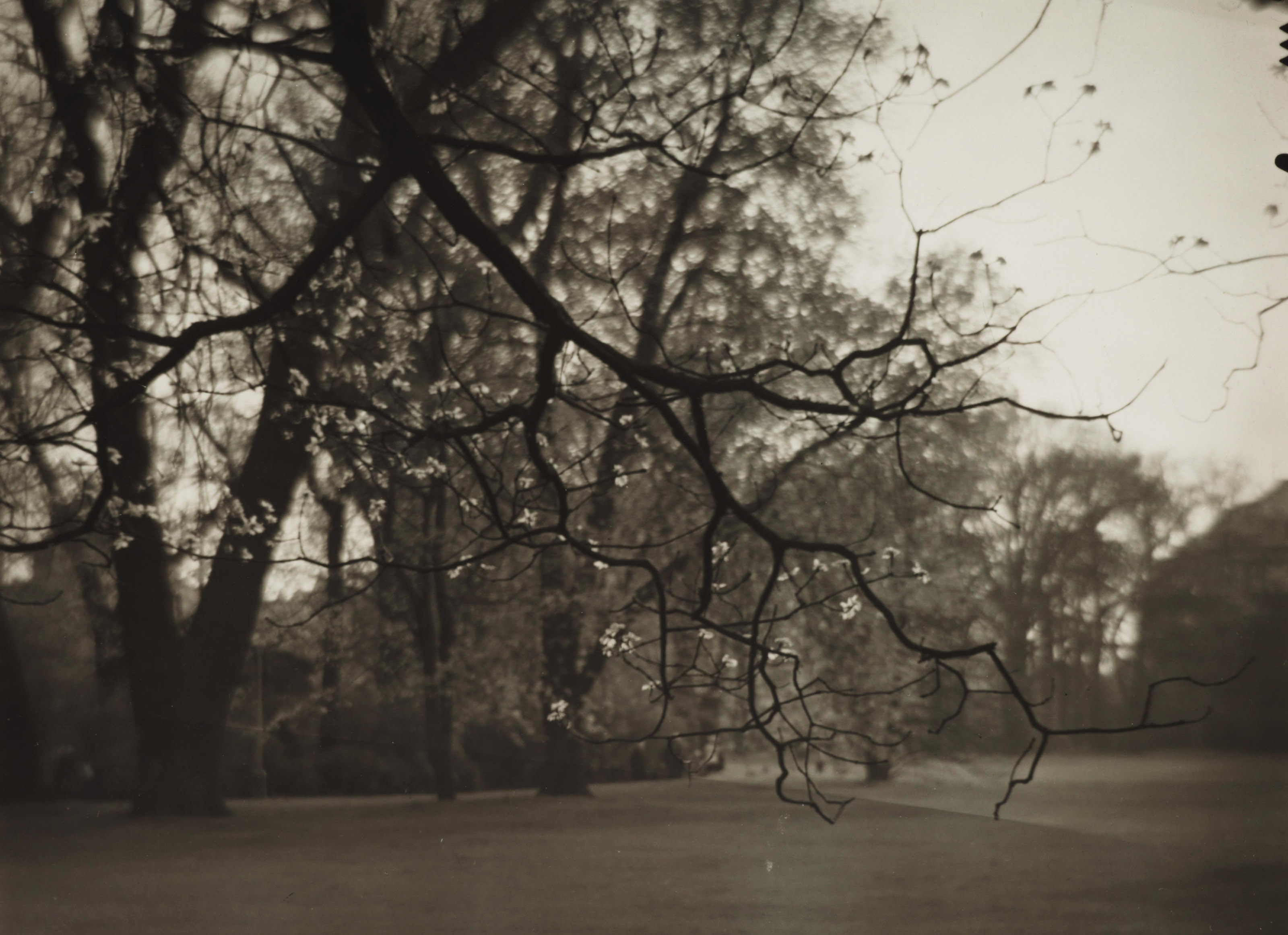 JOSEF SUDEK (1896–1976), River panorama, 1950s | Christie's