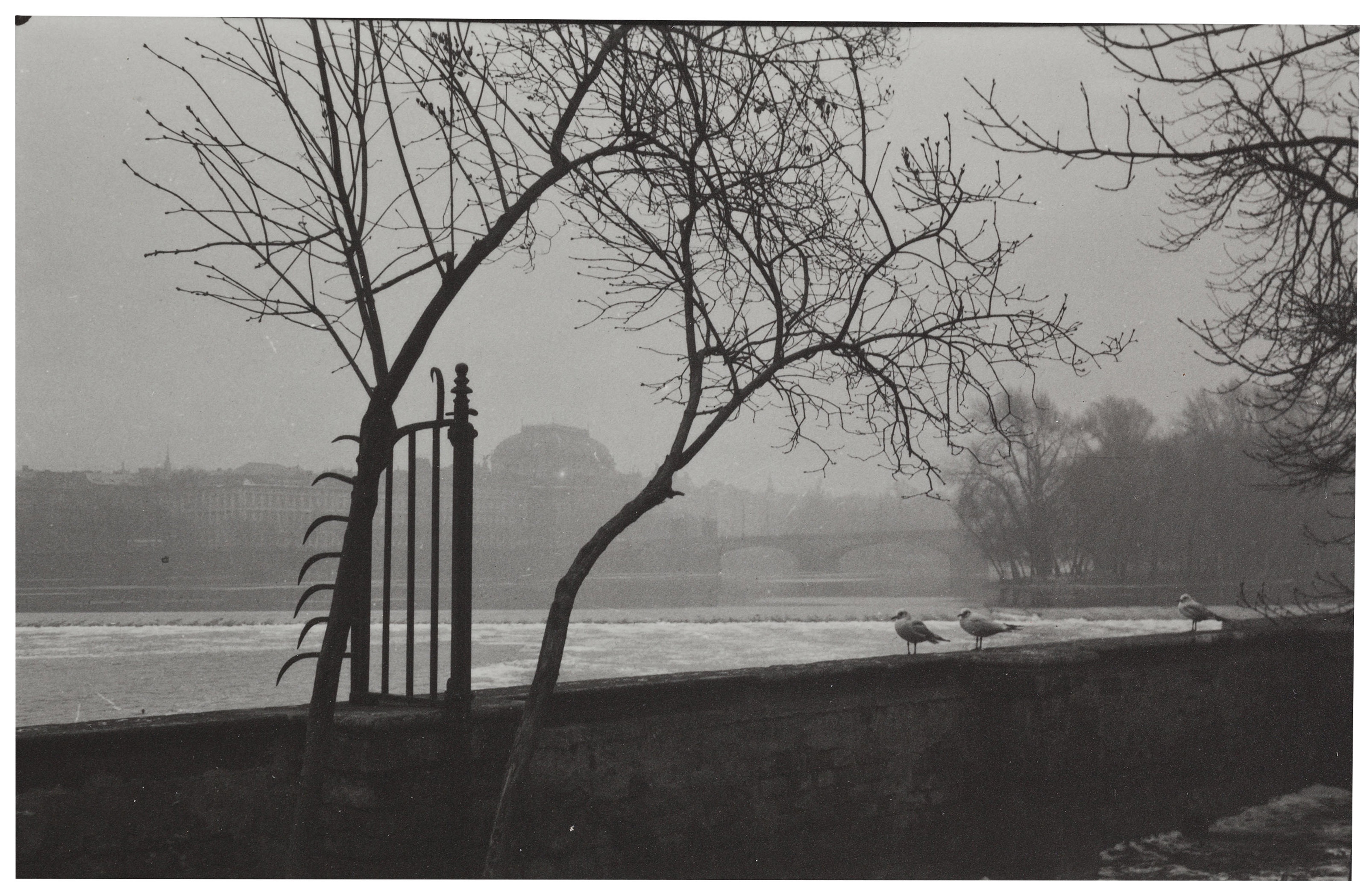 JOSEF SUDEK (1896–1976), Various scenes with trees and statuary