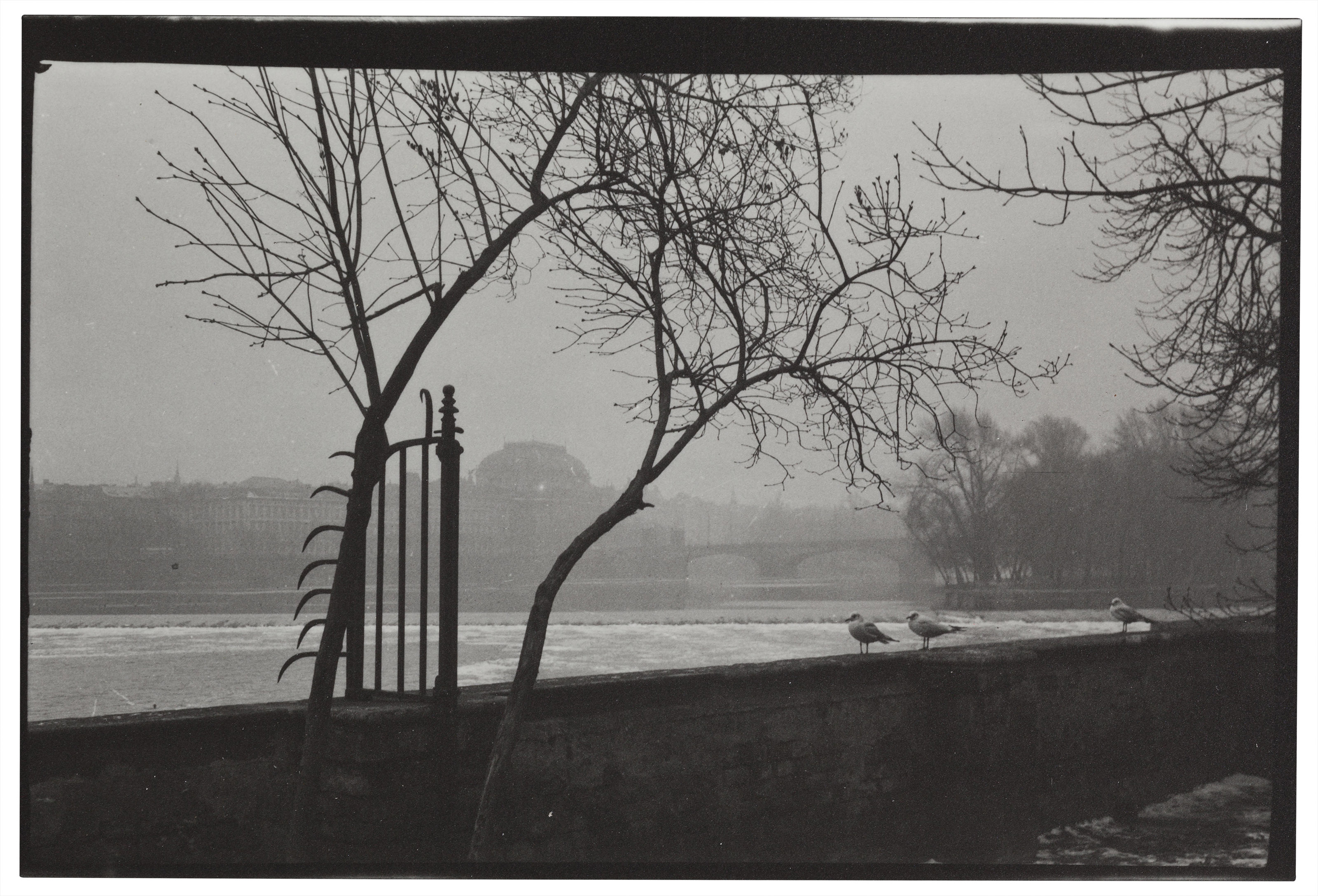 JOSEF SUDEK (1896–1976), Various scenes with trees and statuary