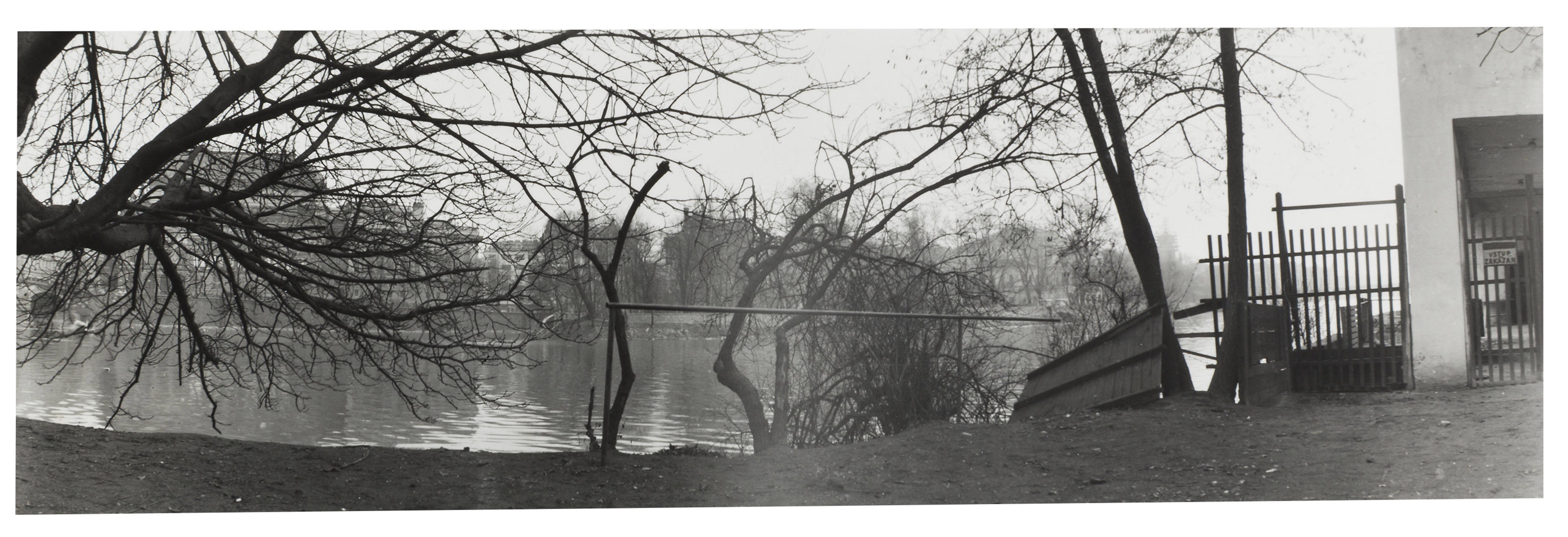 JOSEF SUDEK (1896–1976), Various forest and lake views, 1935–1966