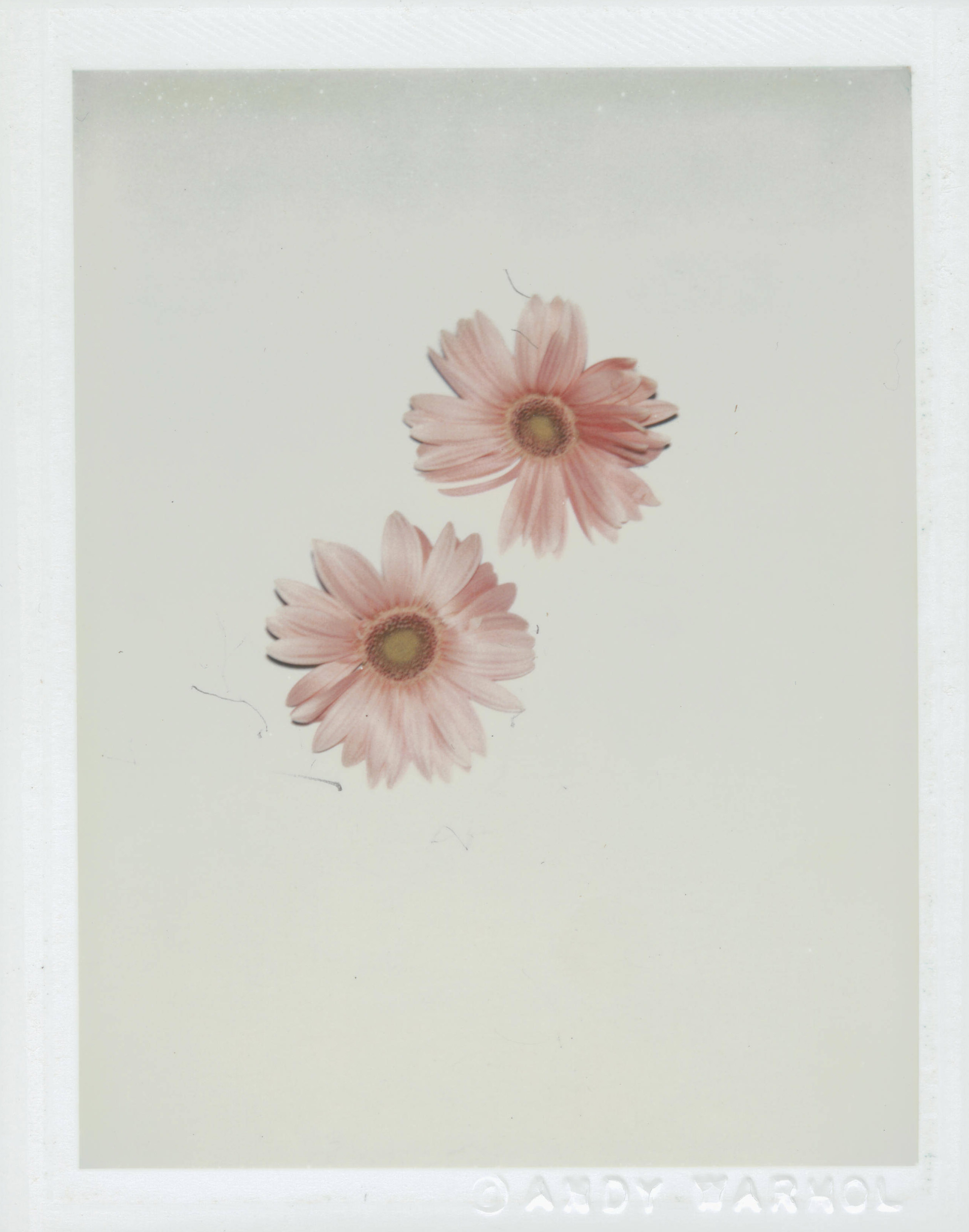 Flowers, ANDY WARHOL (1928-1987) Christie's