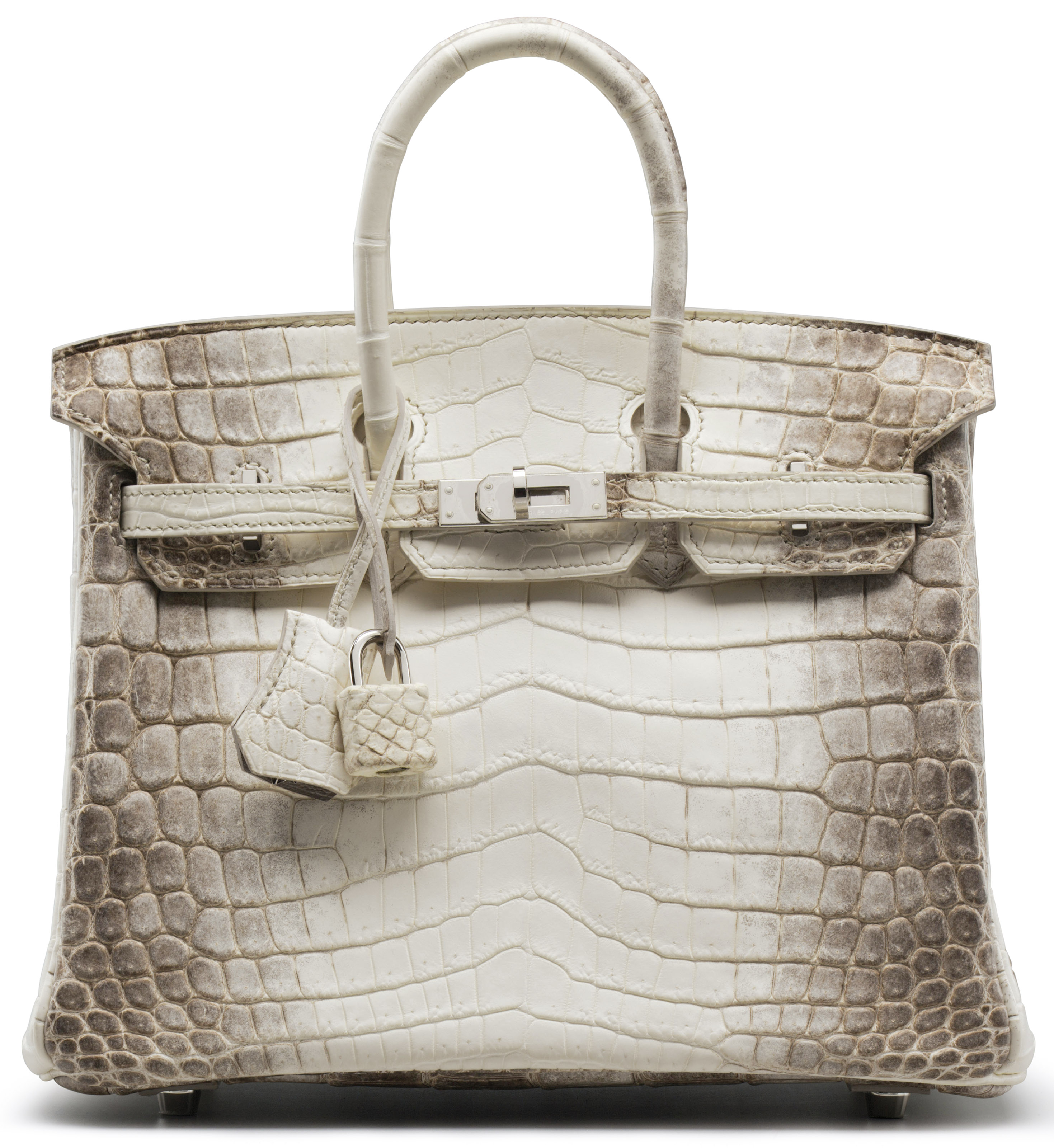Hermes white himalayan nilo crocodile 2025