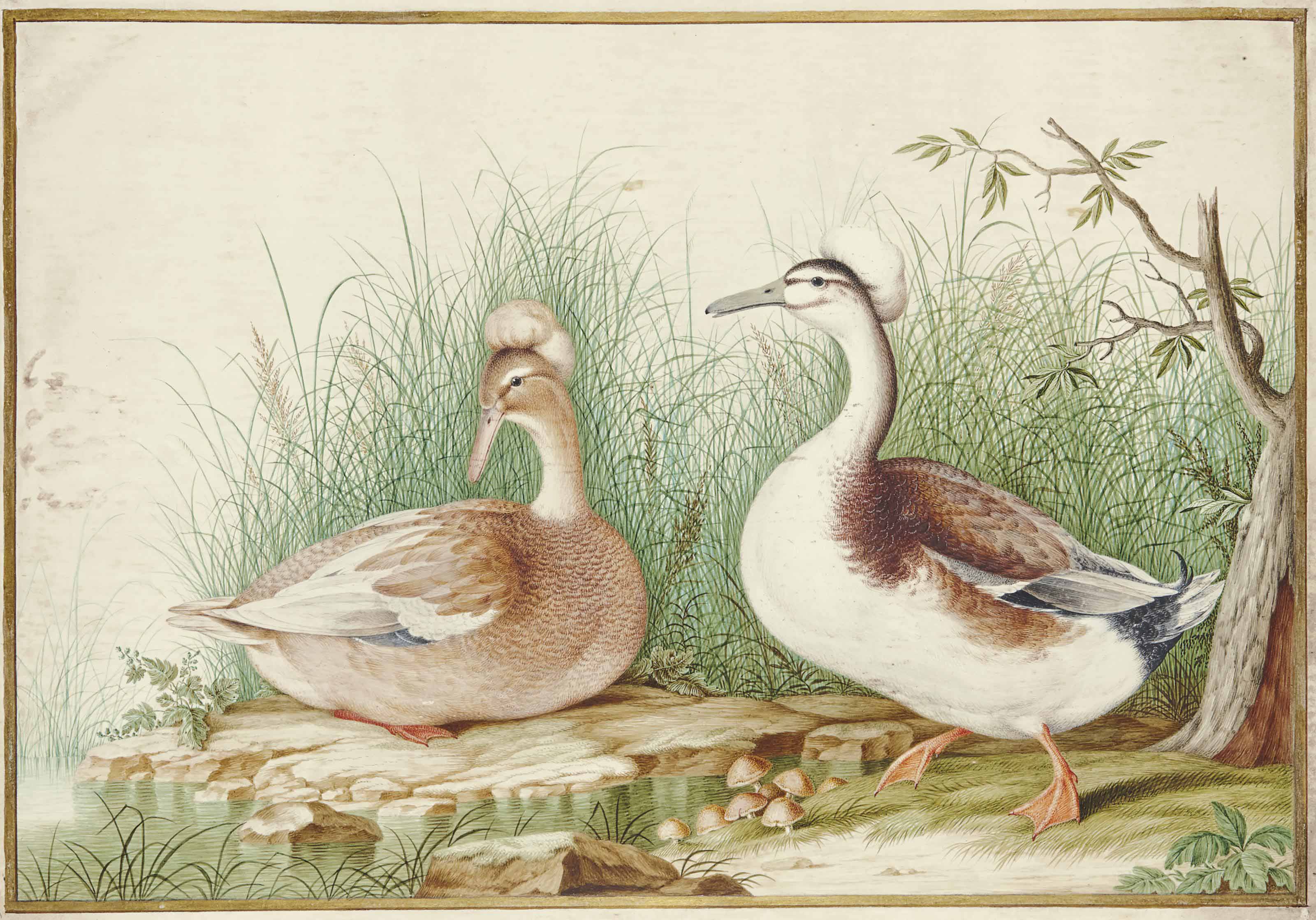 NICOLAS ROBERT (ORLÉANS 1614-1685 PARIS) OU SON ATELIER ...