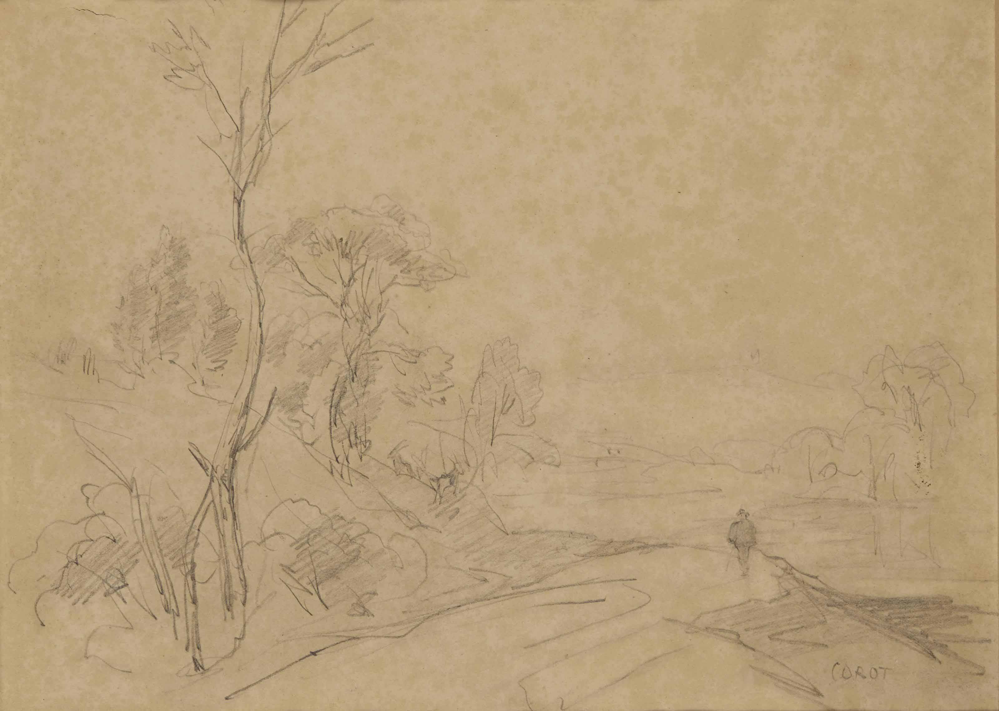 Homme sur un chemin bordé d'arbres