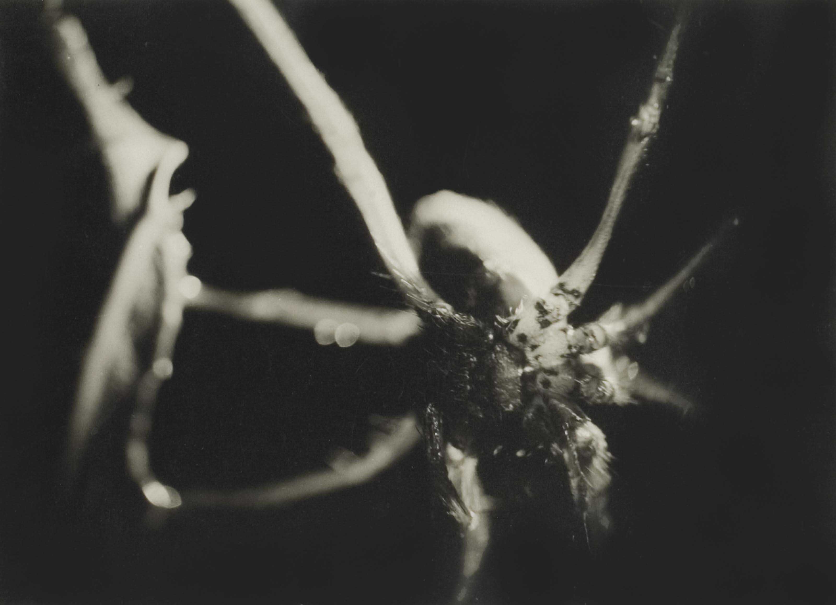 PIERRE MOLINIER (1900-1976), Le Chaman, vers 1965 | Christie's