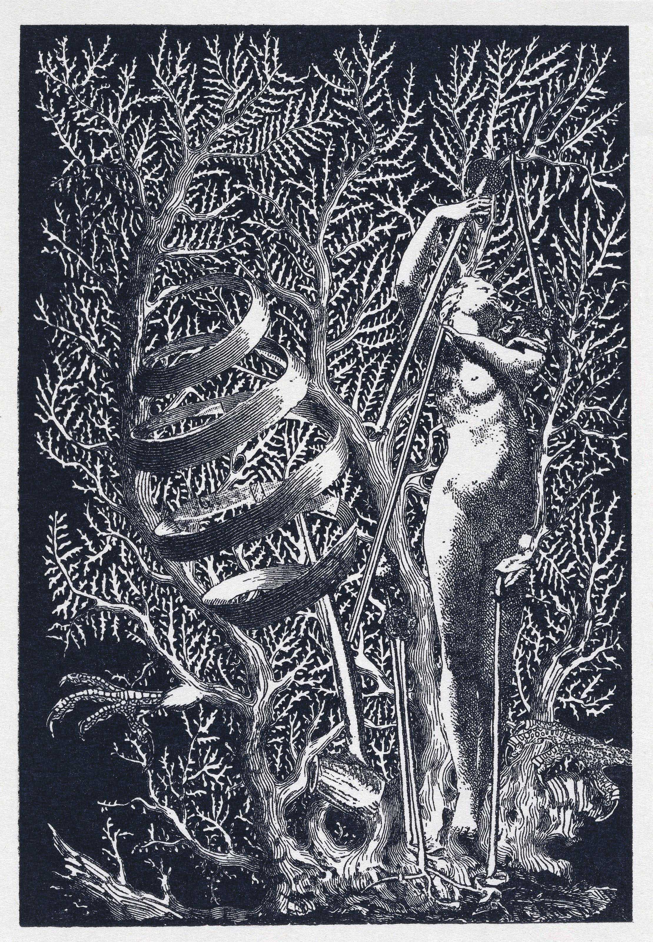 Jacques RIGAUT (1898-1929). Papiers posthumes. Paris: Au Sans Pareil ...