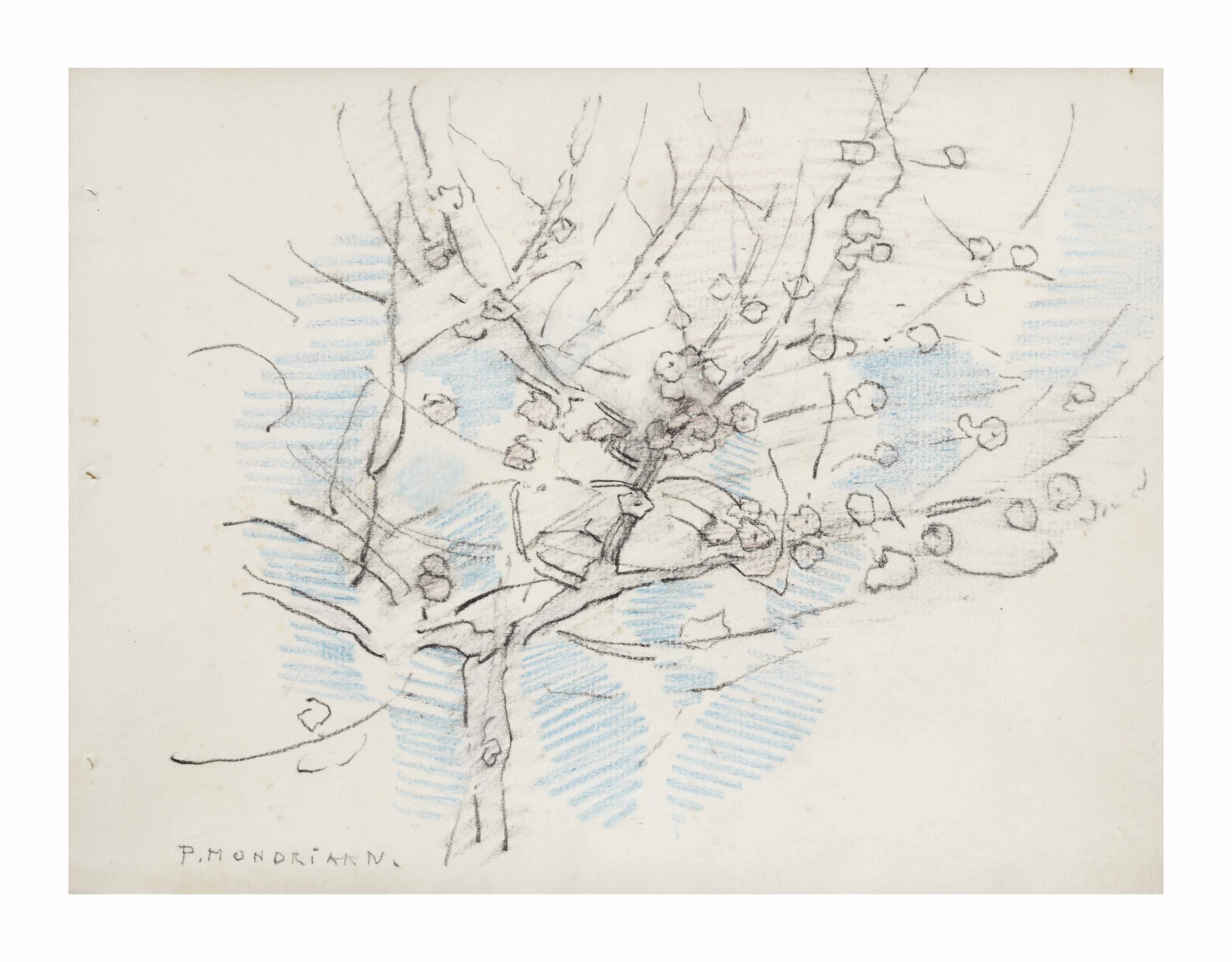 Flowering tree