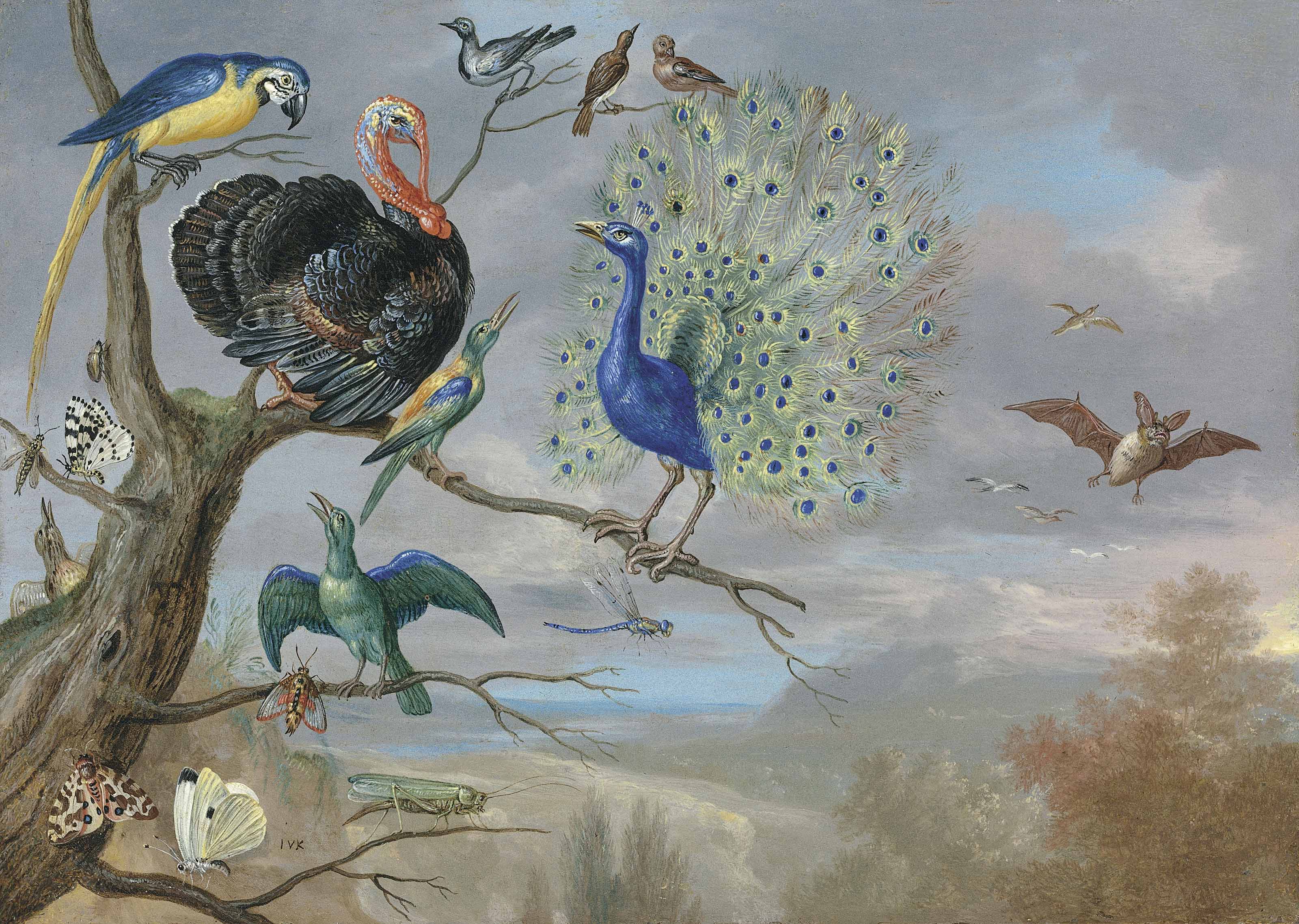 Jan van Kessel I (Antwerp 1626-1679)