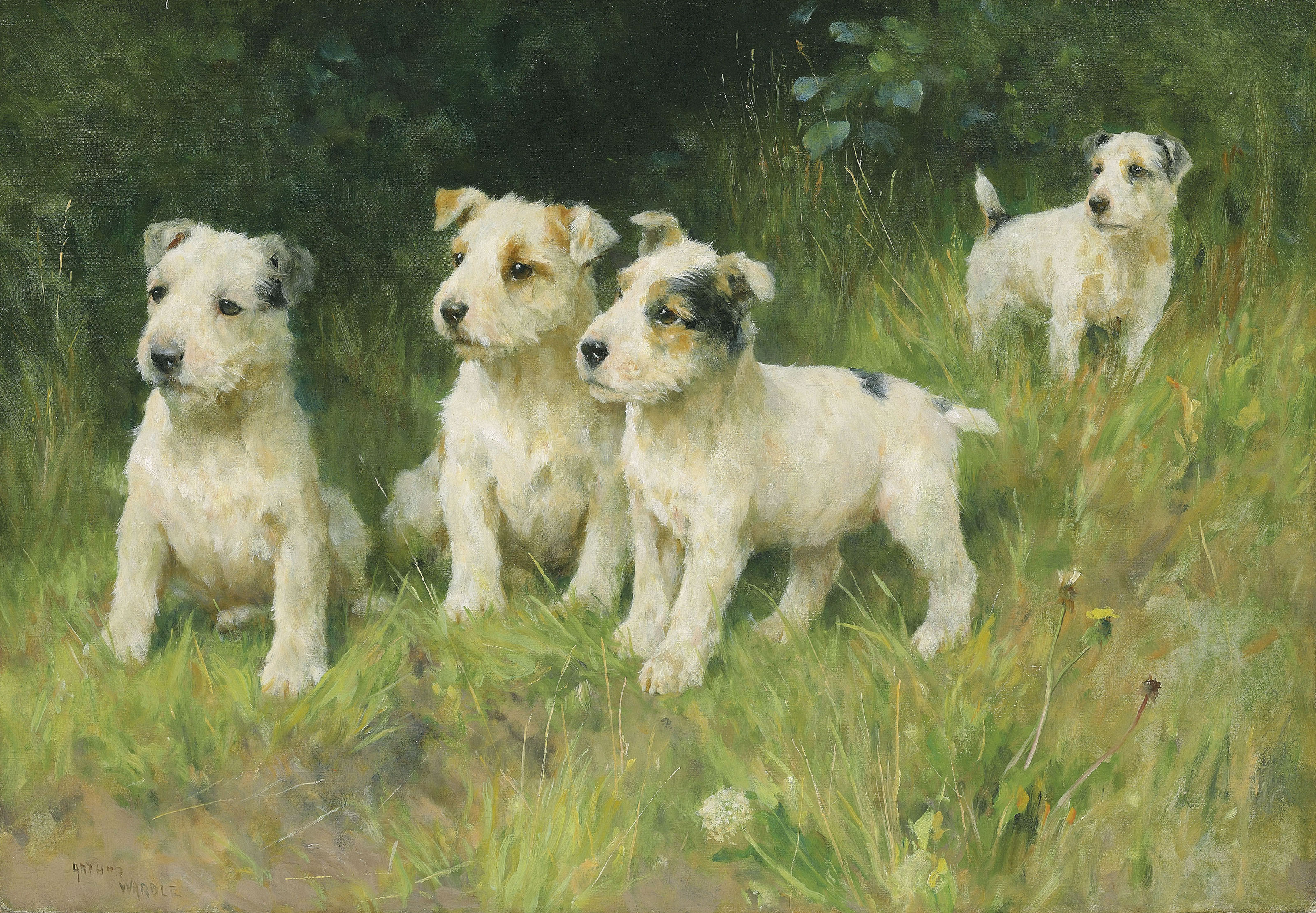 Arthur Wardle (18641949)