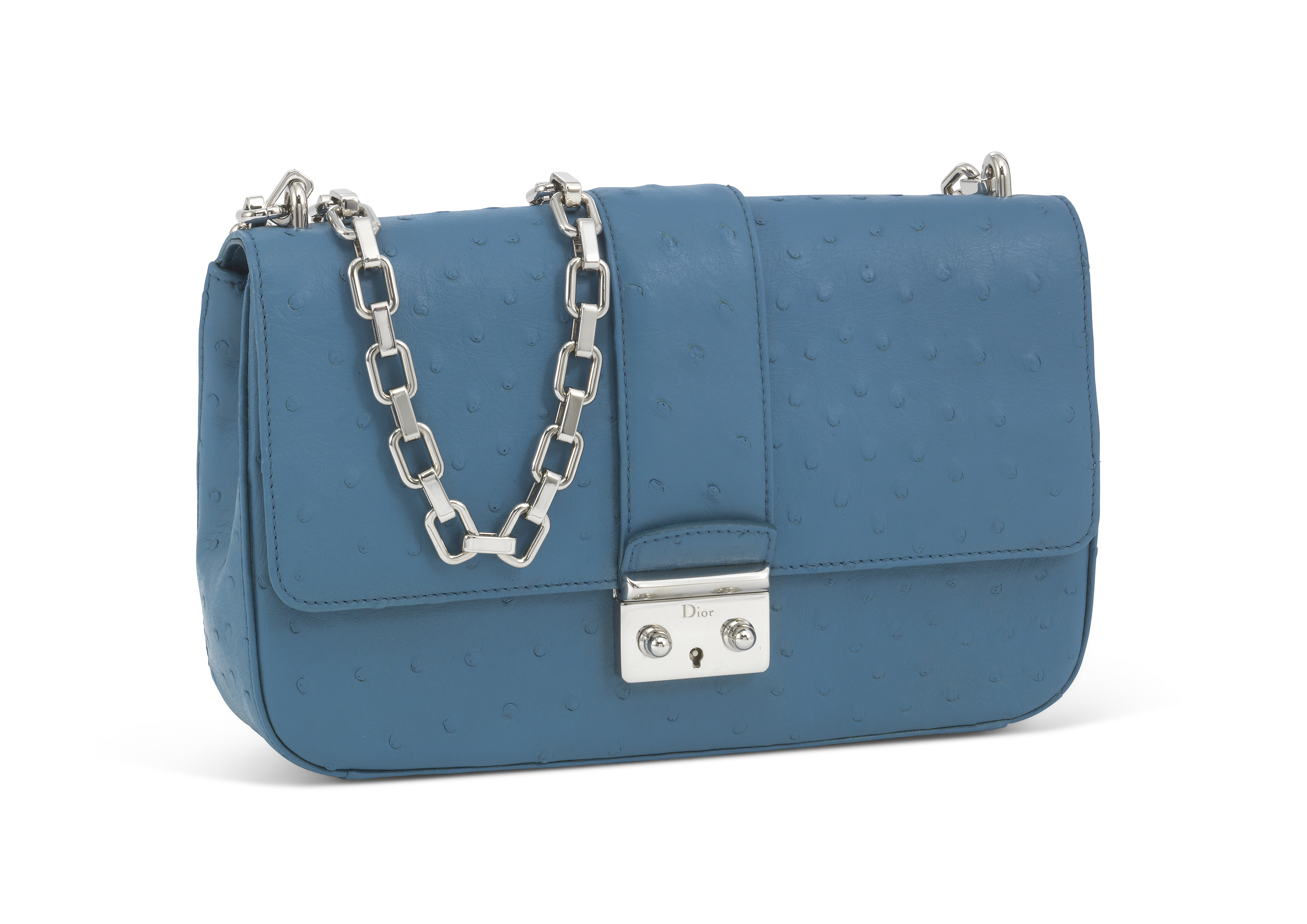 dior ostrich