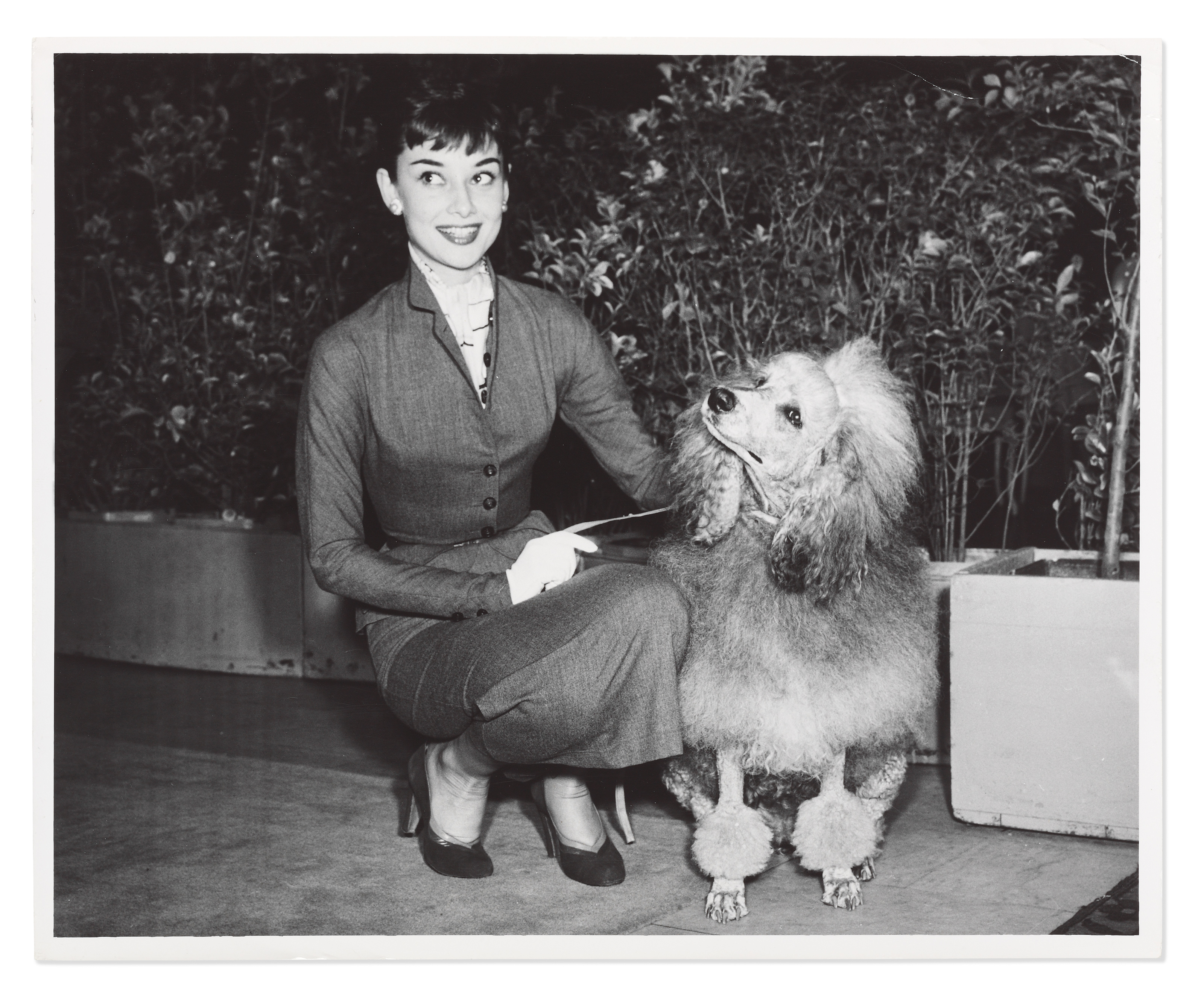 Gigi, US tour, 1952-1953 George Shimmon, Audrey Hepburn with a poodle, Palace Hotel, San Francisco, circa 1953. Sold for &pound;3,750 on 27 September 2017 at Christie&rsquo;s in London