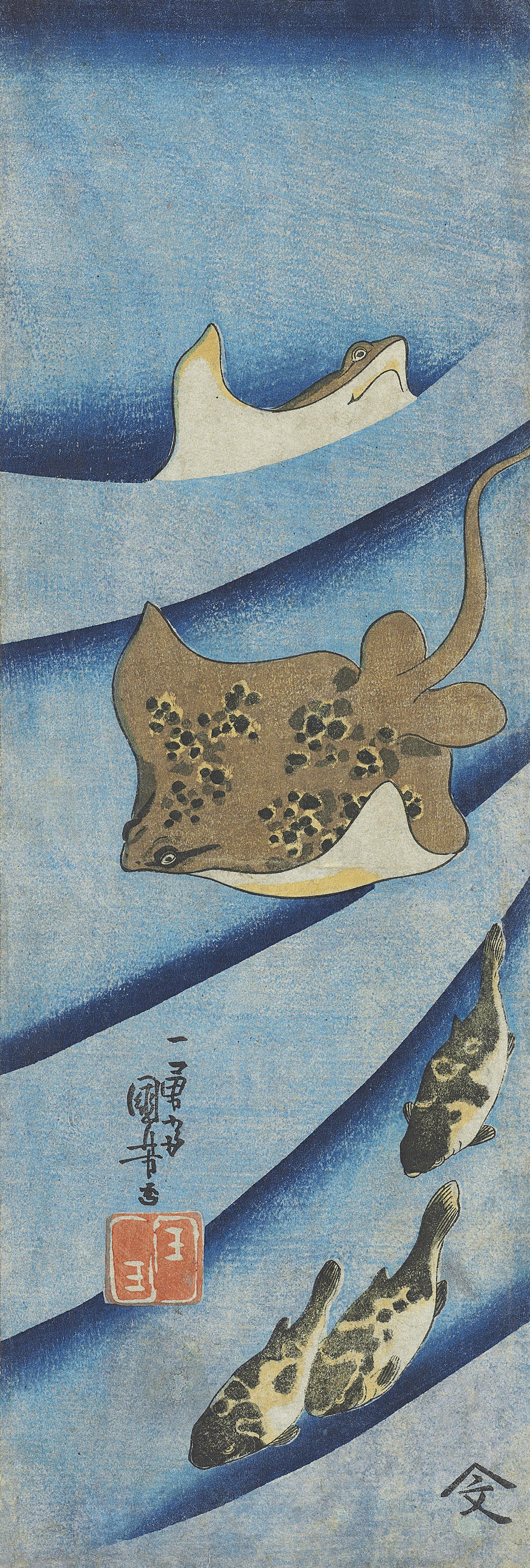 Catalog image of Stingray and Puffer Fish