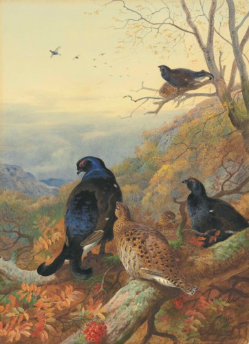 Archibald Thorburn (1860-1935)