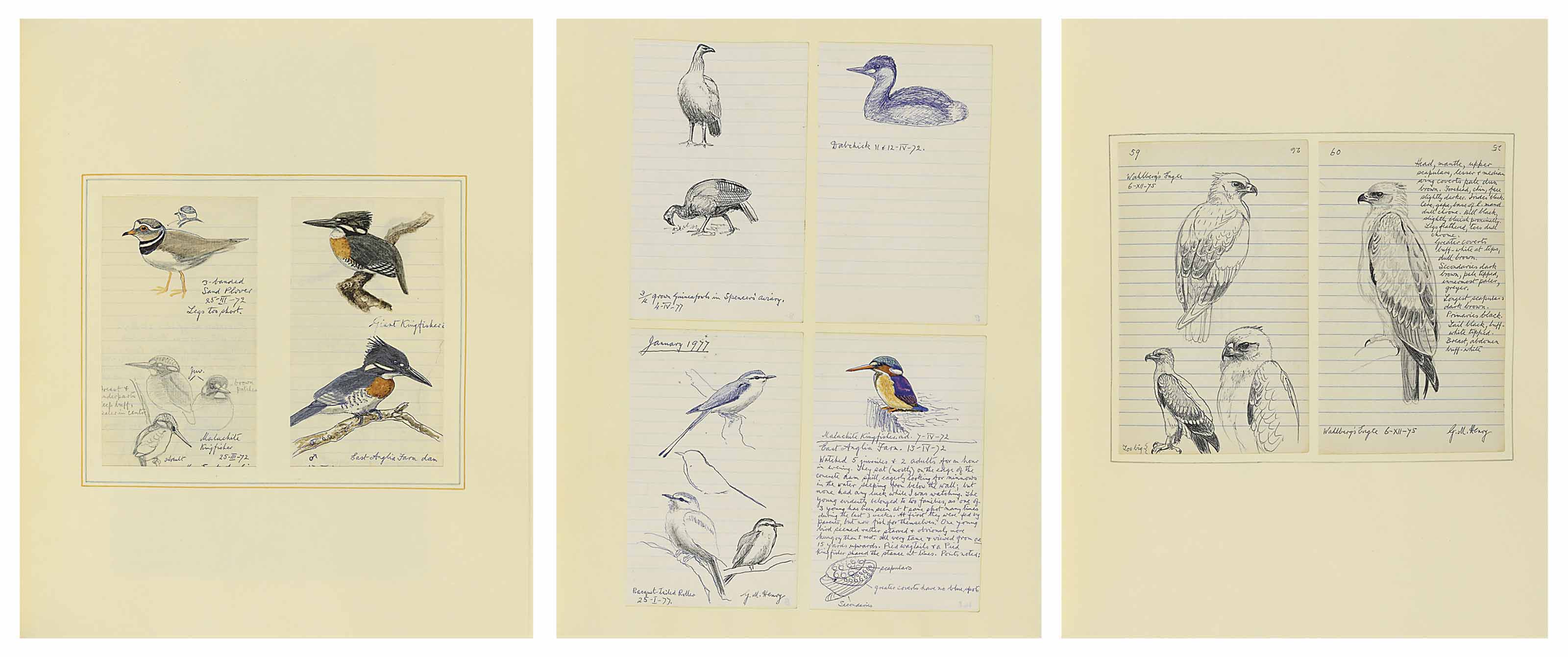 George Morrison: upcoming auctions, appraisal insights and free art ...