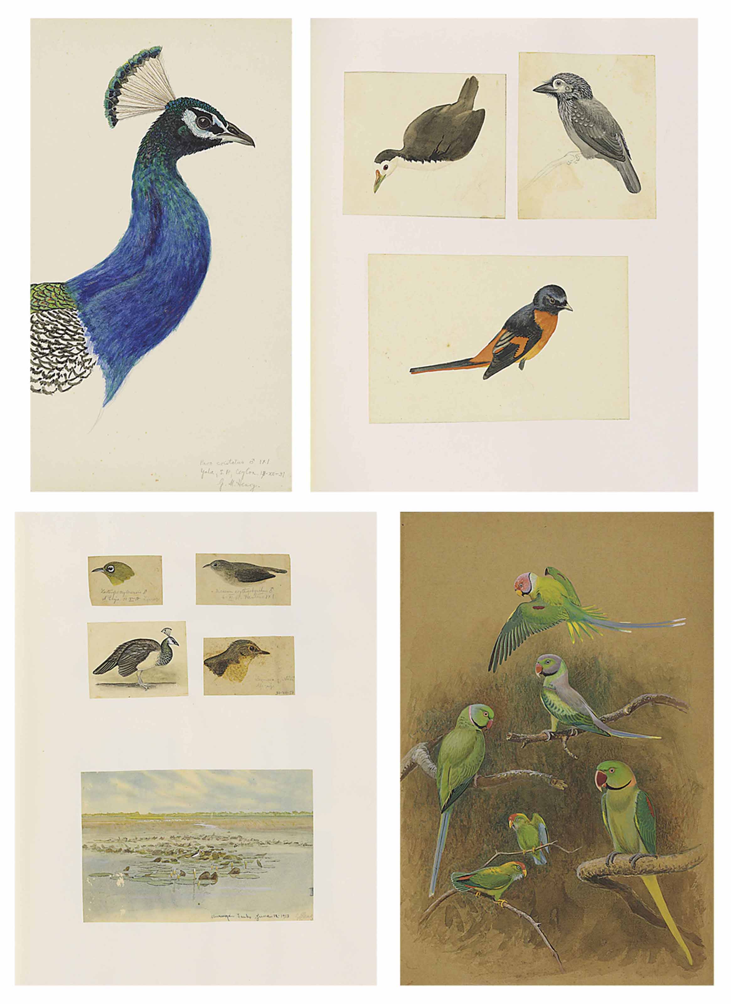 George Morrison: upcoming auctions, appraisal insights and free art ...