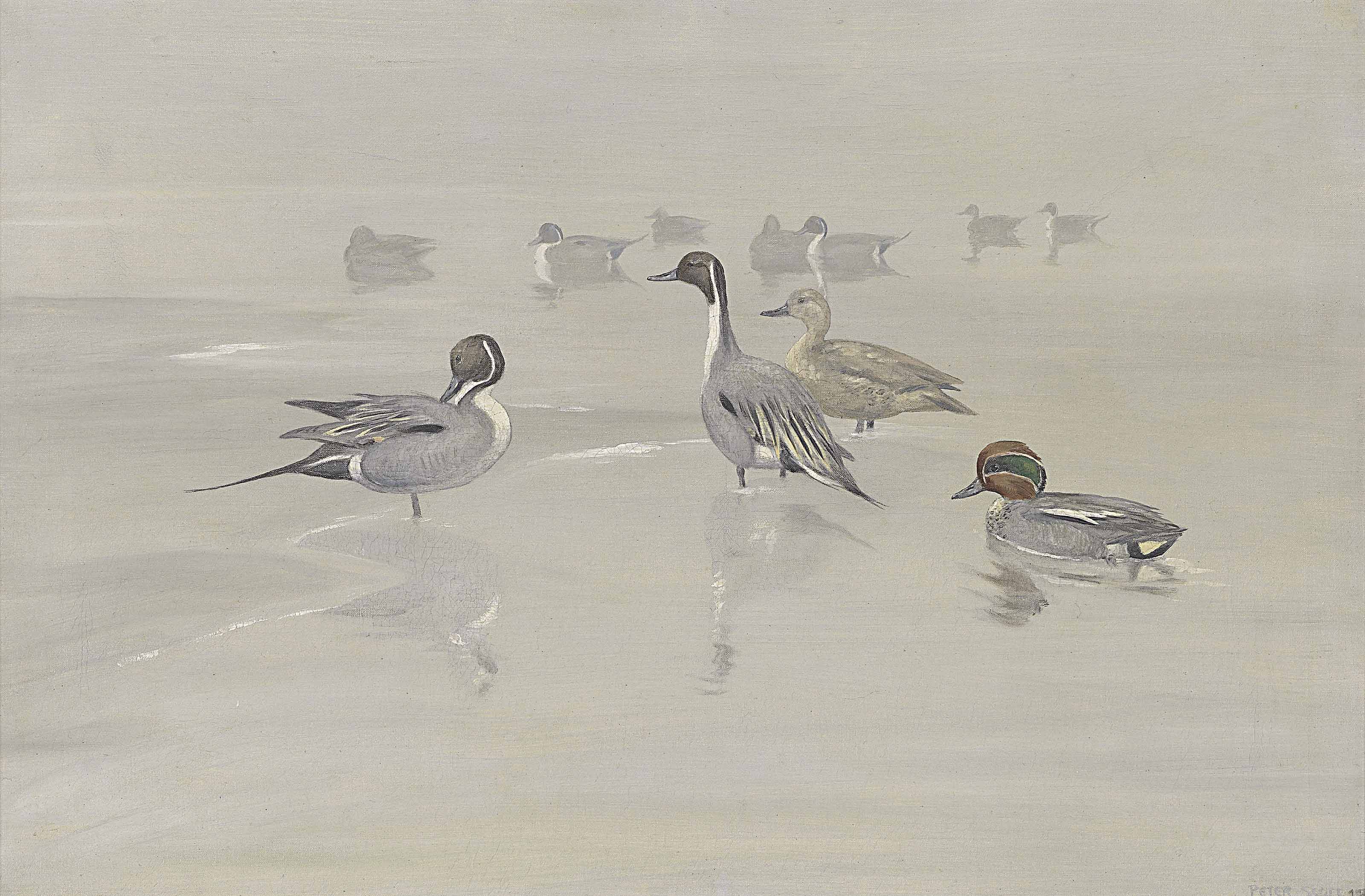 What Is Peter Markham Scott Painting? – EVOULZ