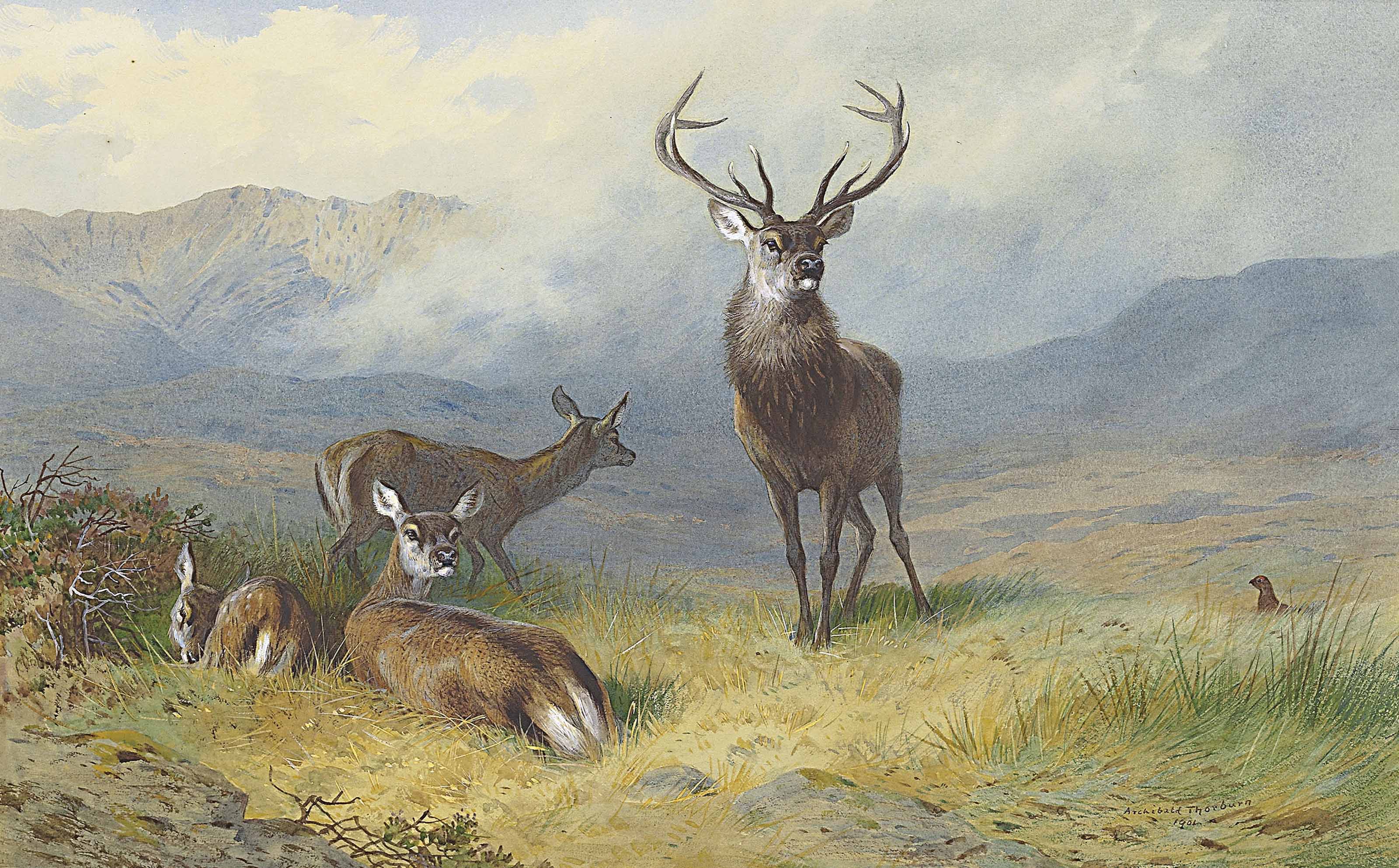 Archibald Thorburn (18601935) , 'Monarch of the Glen' Christie's