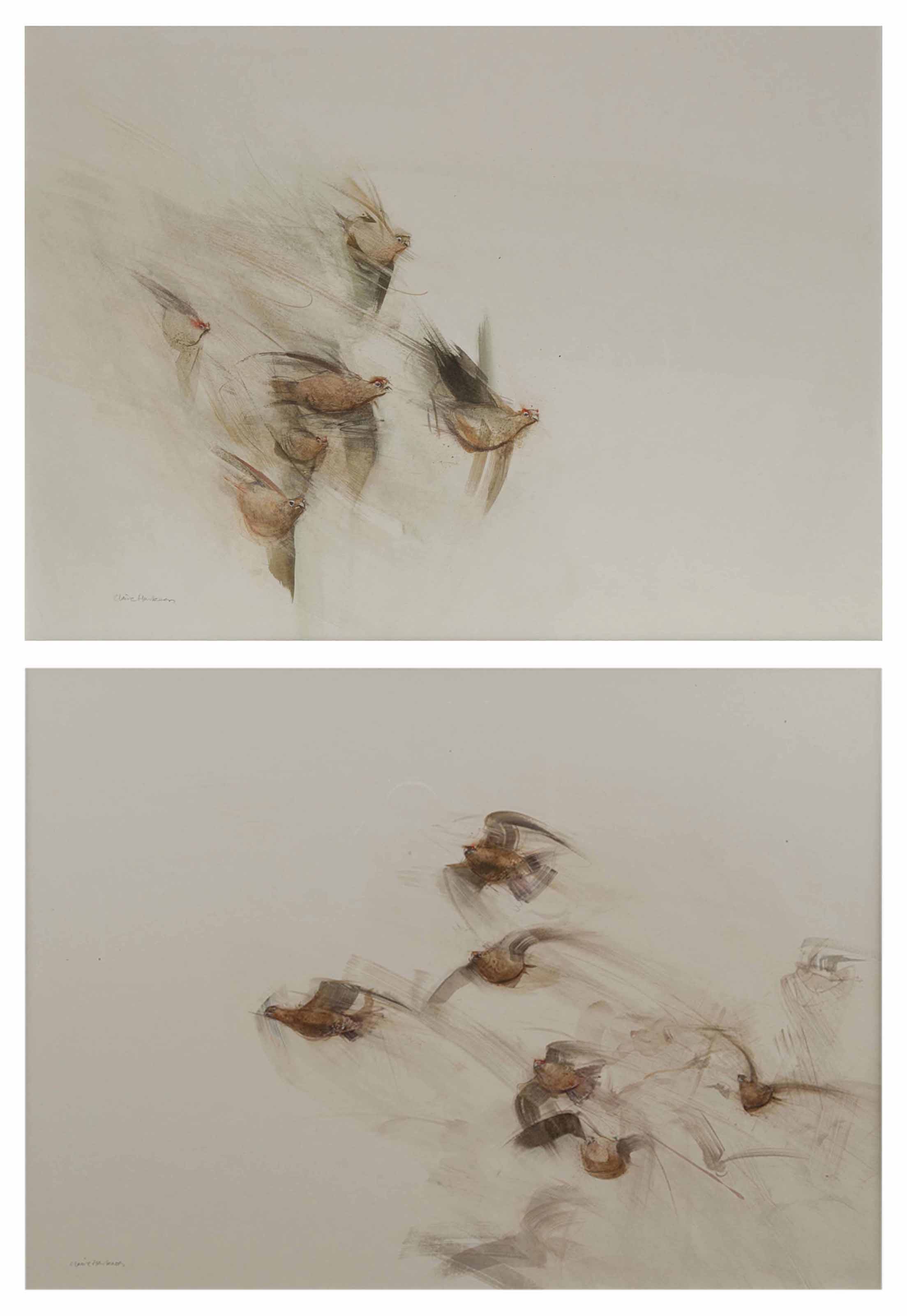 claire harkess b 1970
