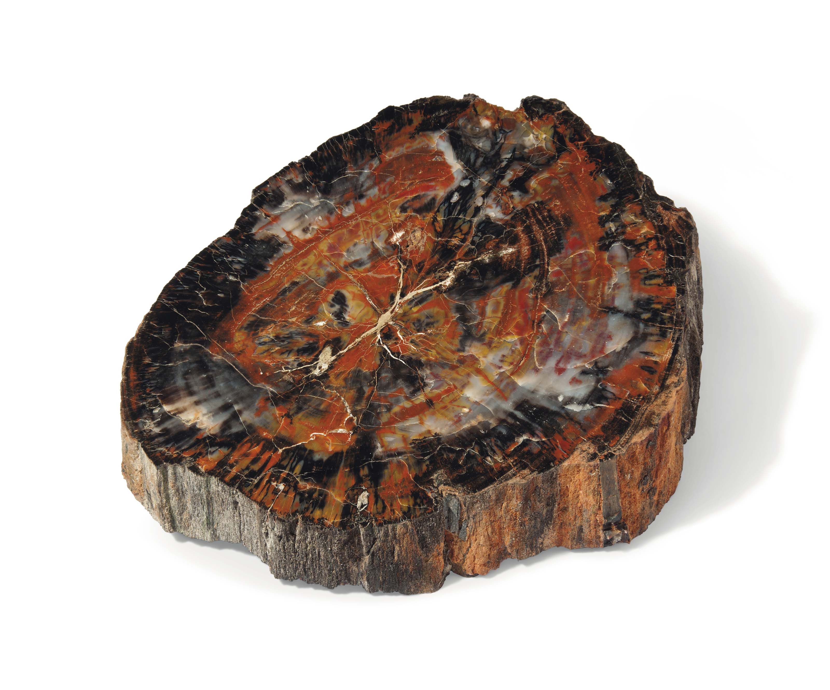 A SPECIMEN OF PETRIFIED WOOD , NORTHERN ARIZONA, USA Christie's