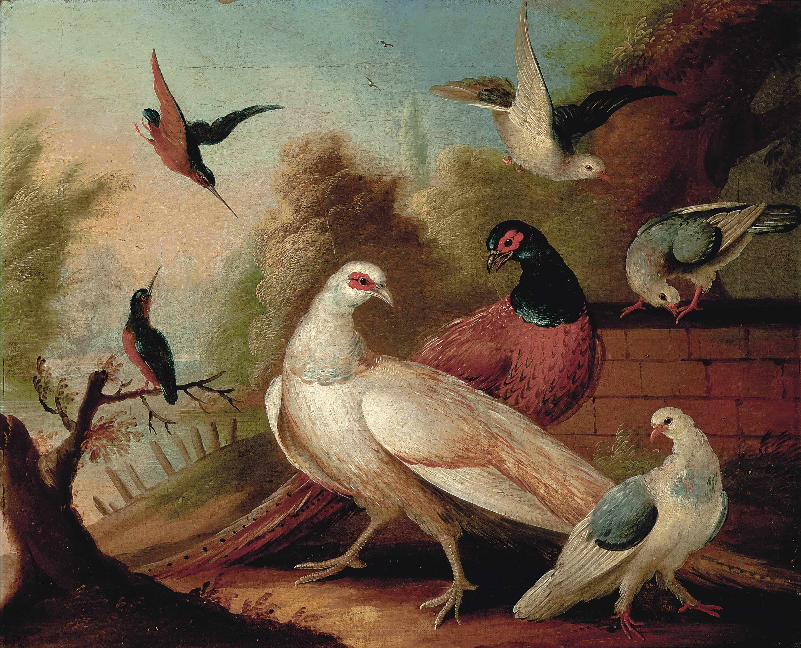 мельхиор де хондекутер. афганский скворец майна. майнушка птица в таджикистане. рисунок пеликан графика маркером. Other birds.