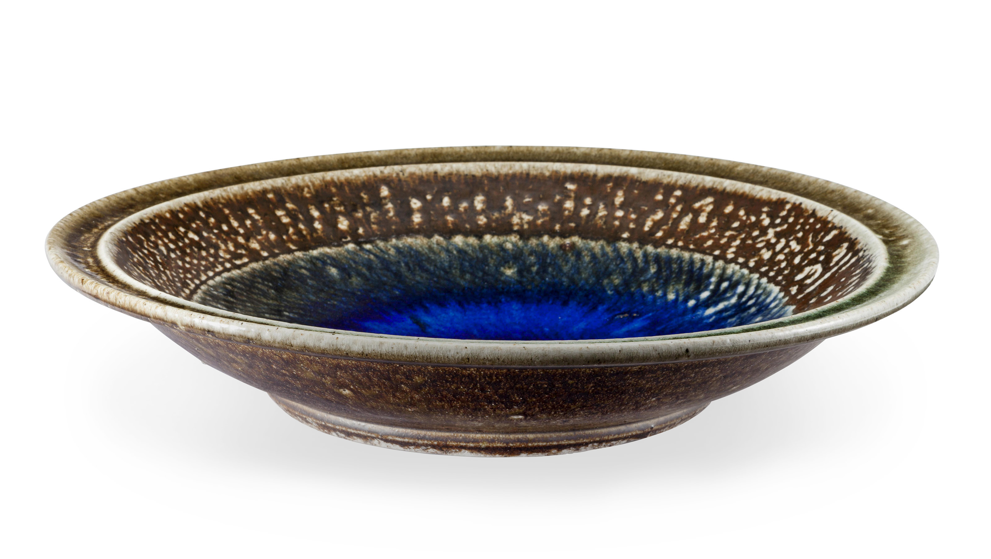 陶芸品 鉢】姫野 翔太 オドリコ 白化粧 陶作 陶器鉢 | A-PLANTS|塊根