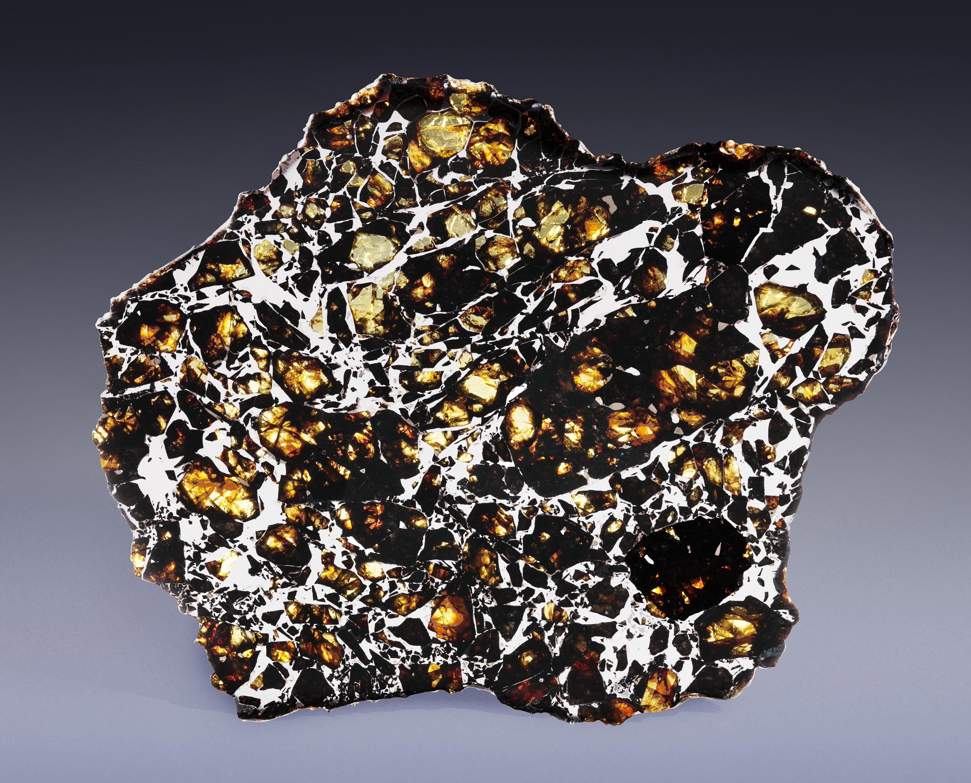 A COMPLETE SLICE OF ADMIRE PALLASITE, PALLASITE — PMG LYON COUNTY, KANSAS (40°N, 89°W) Christie’s