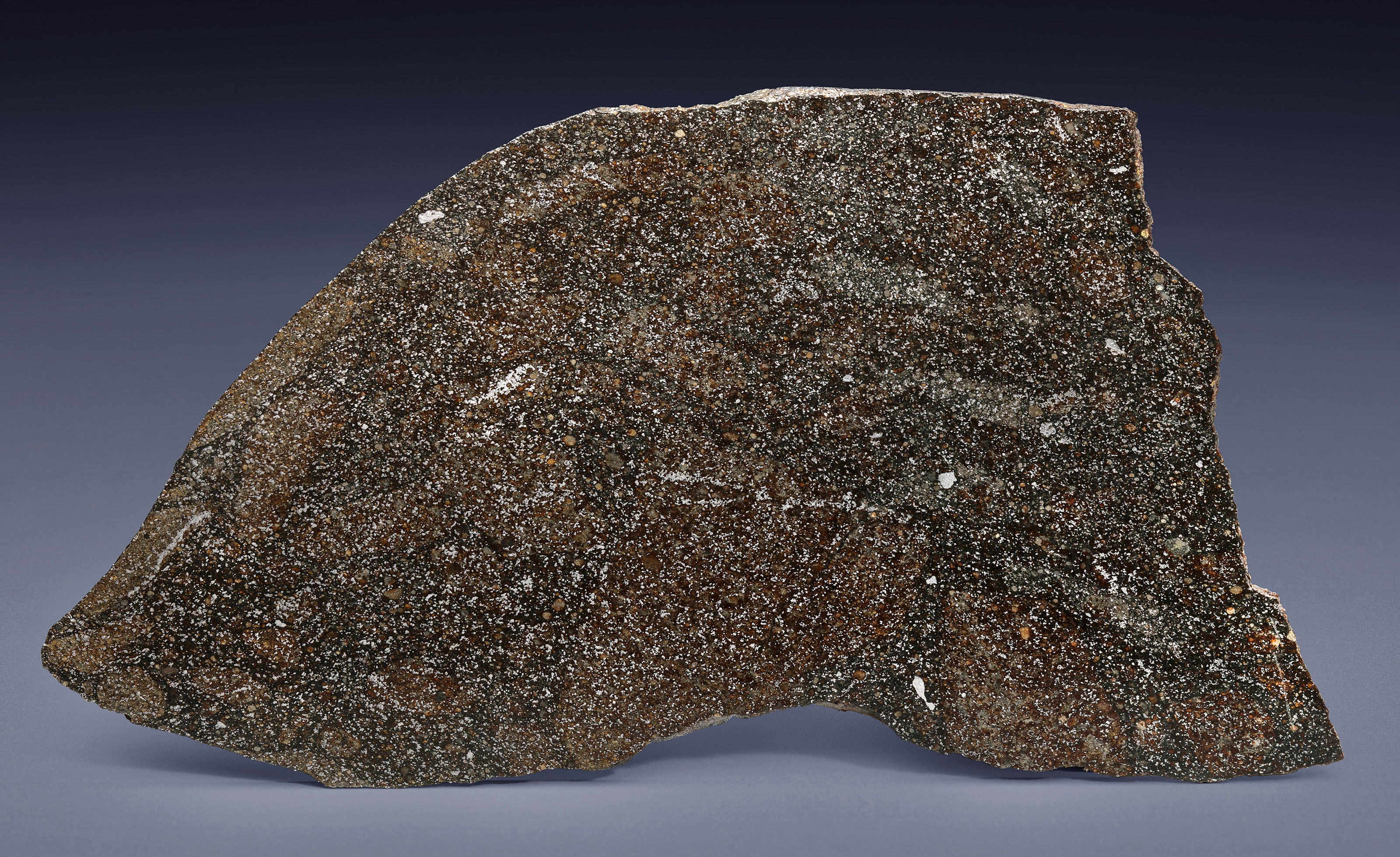 A COMPLETE SLICE OF ADMIRE PALLASITE, PALLASITE — PMG LYON