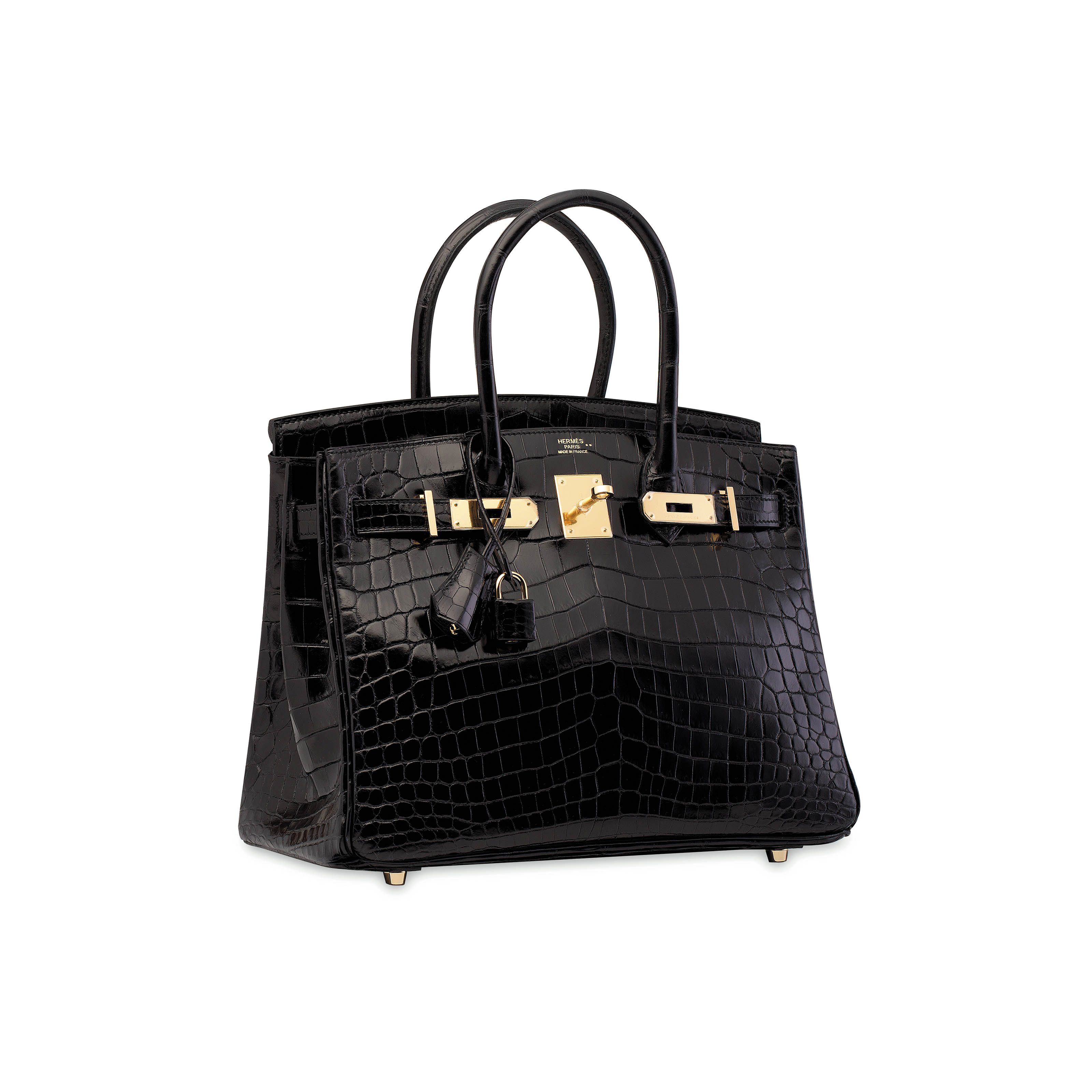 black croc birkin