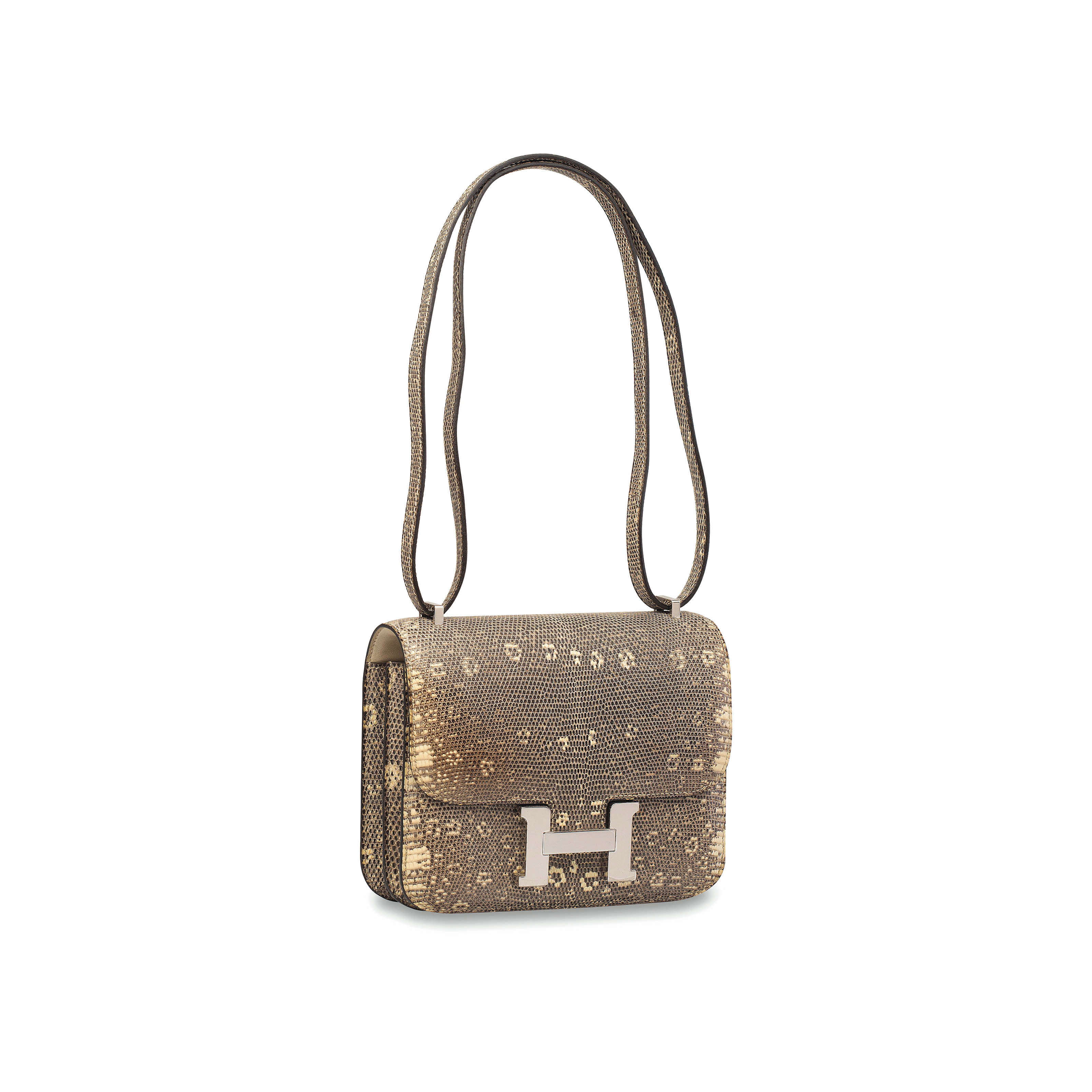 Hermes ombre lizard constance clearance
