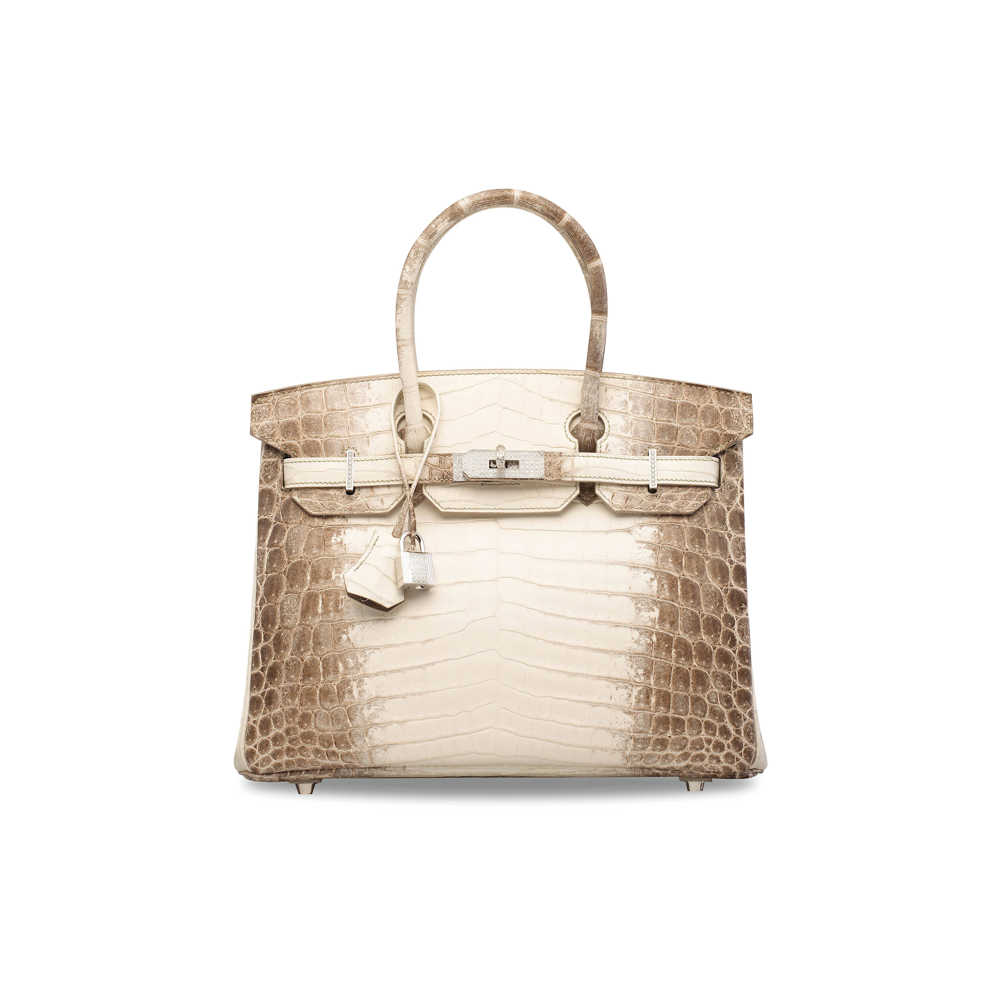 Niloticus crocodile himalaya birkin store 30