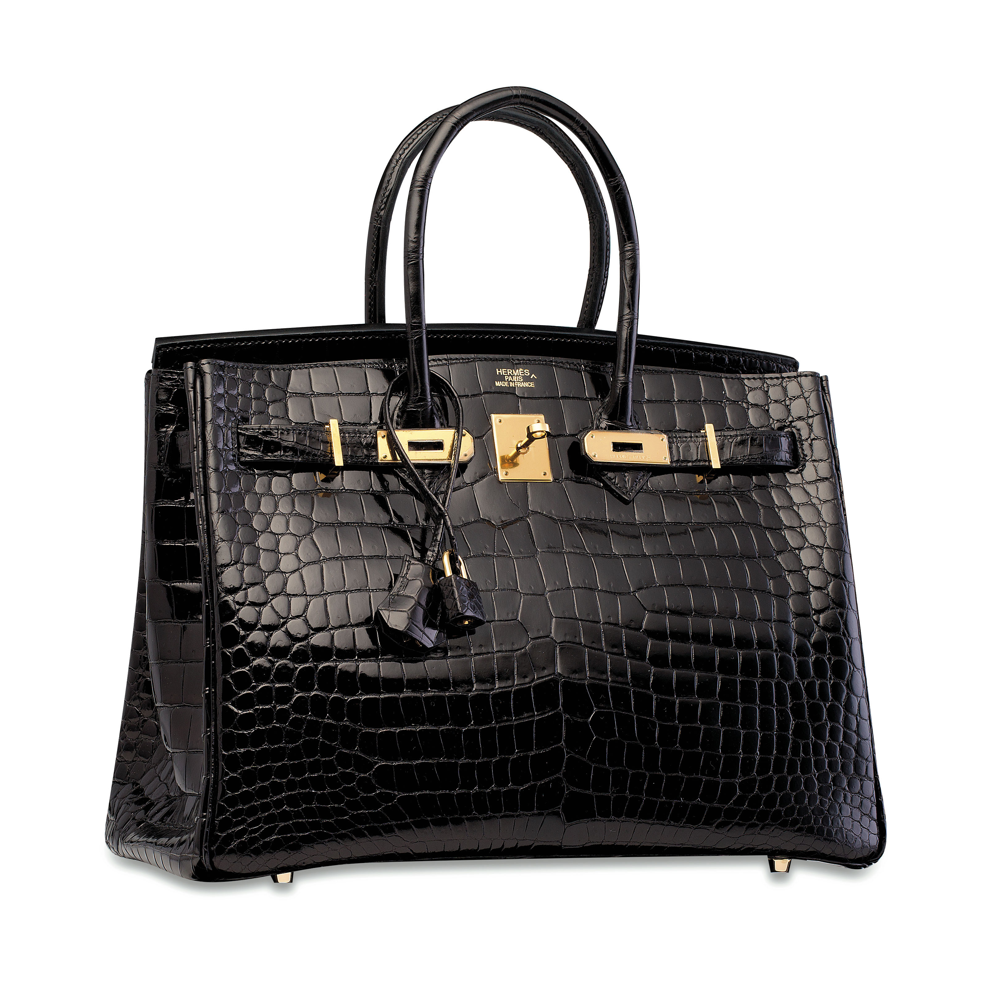 crocodile birkin