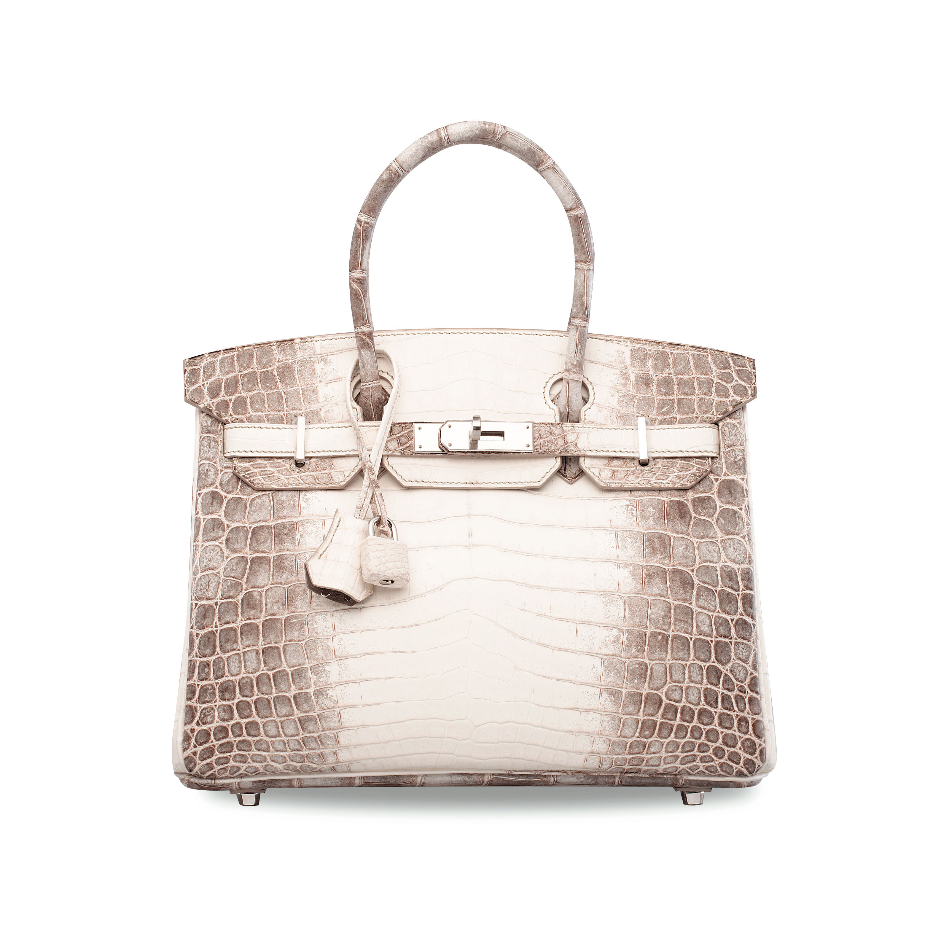 himalaya niloticus crocodile diamond birkin 30
