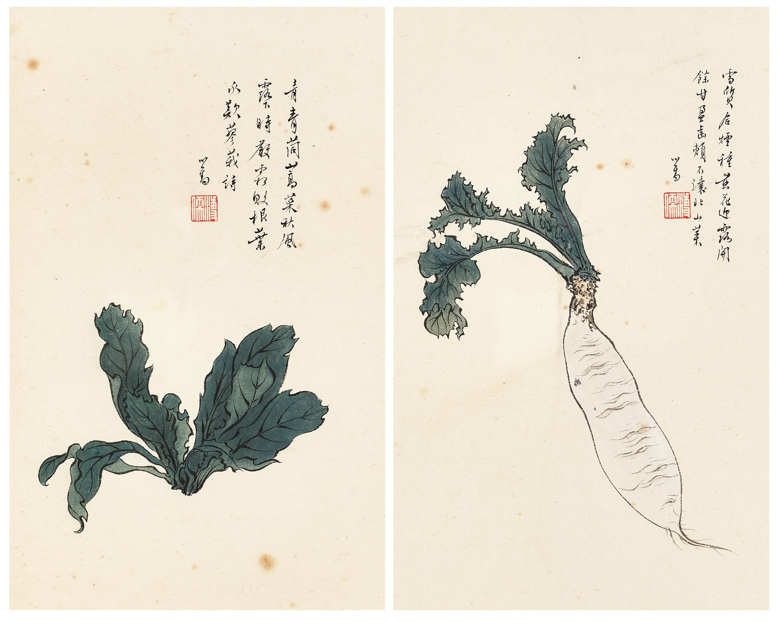 萝卜茼蒿 设色纸本 镜框两幅