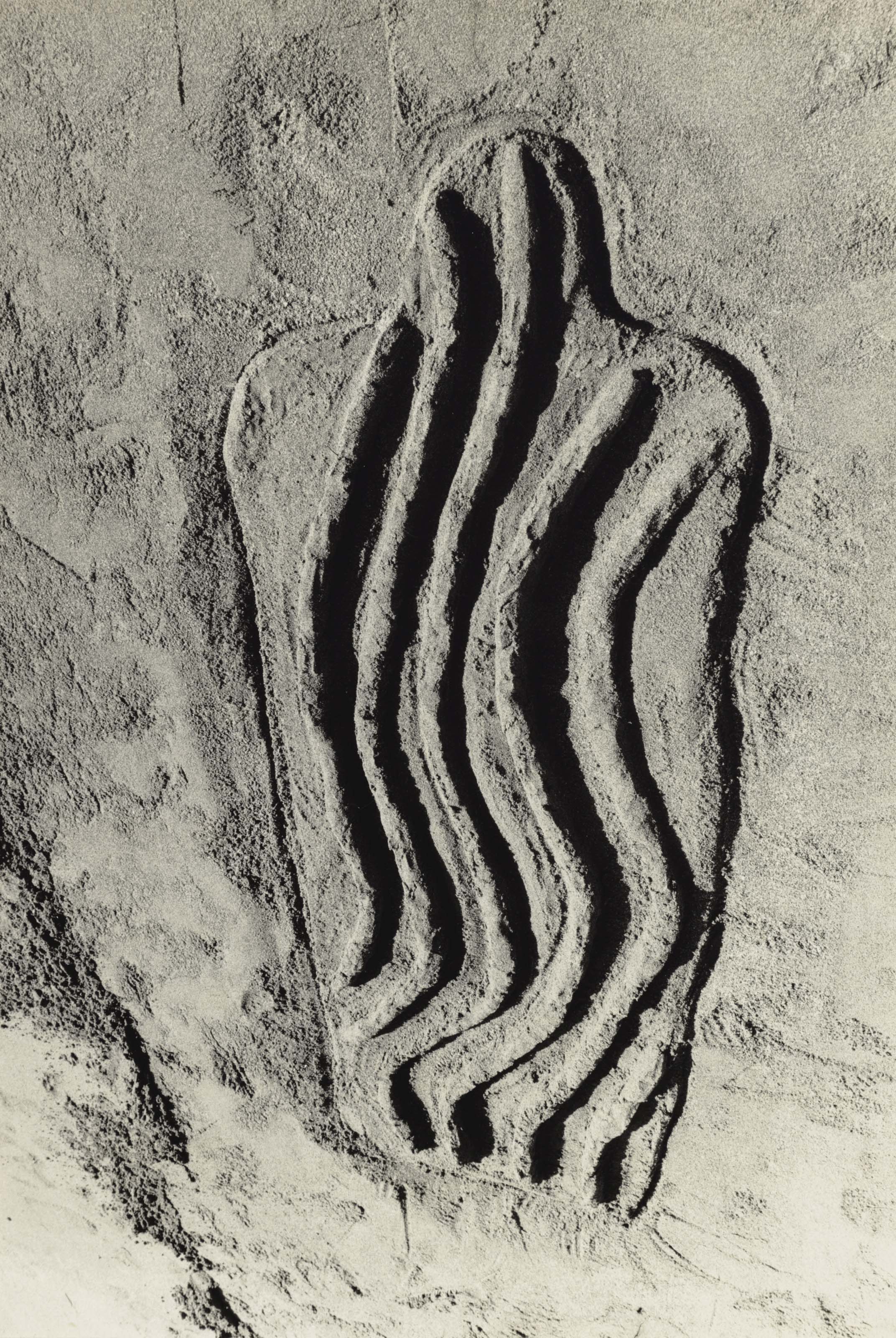 Ana mendieta essay image