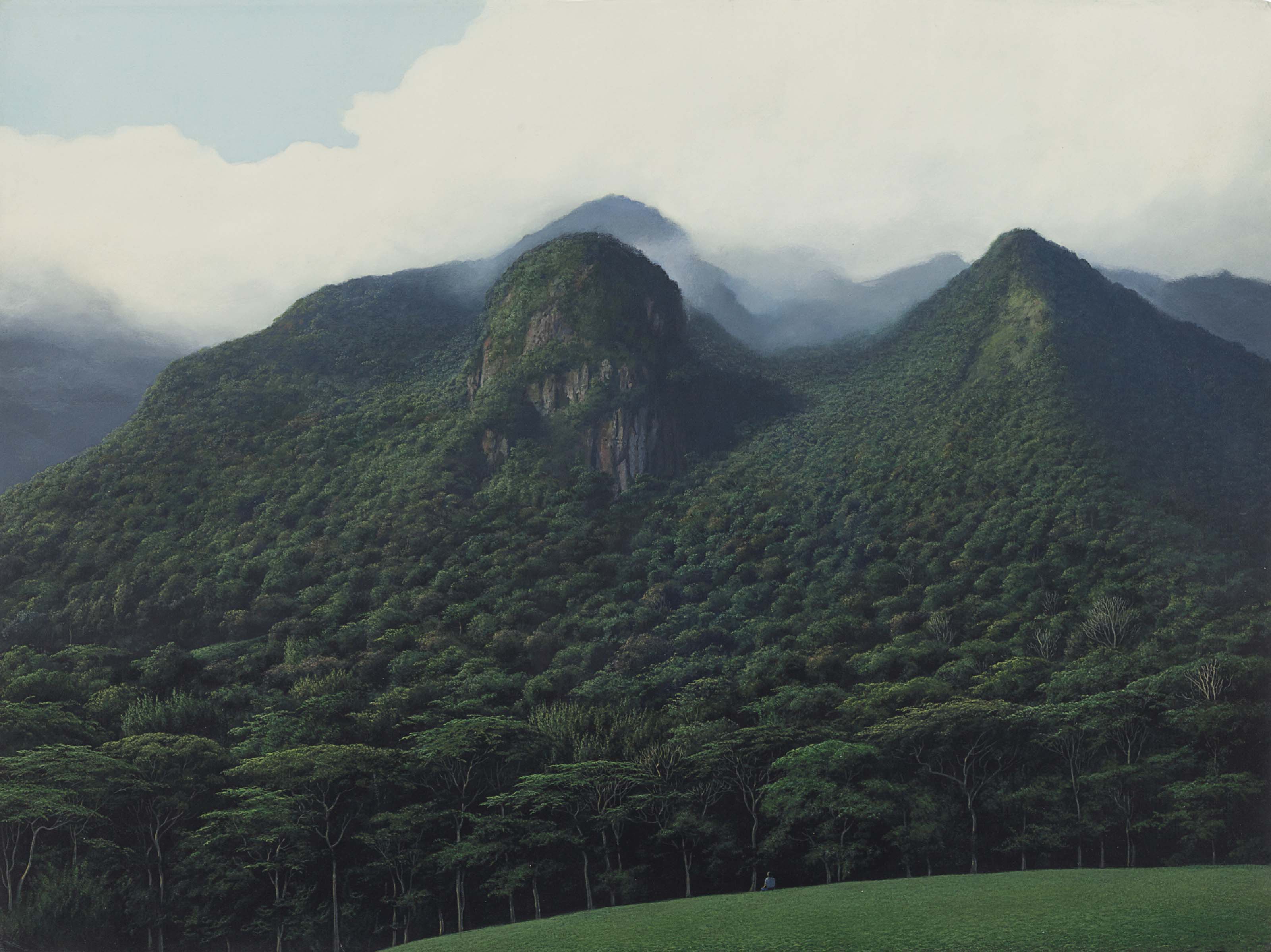 Tomás Sánchez (b. 1948) , Contemplador de Montañas | Christie’s