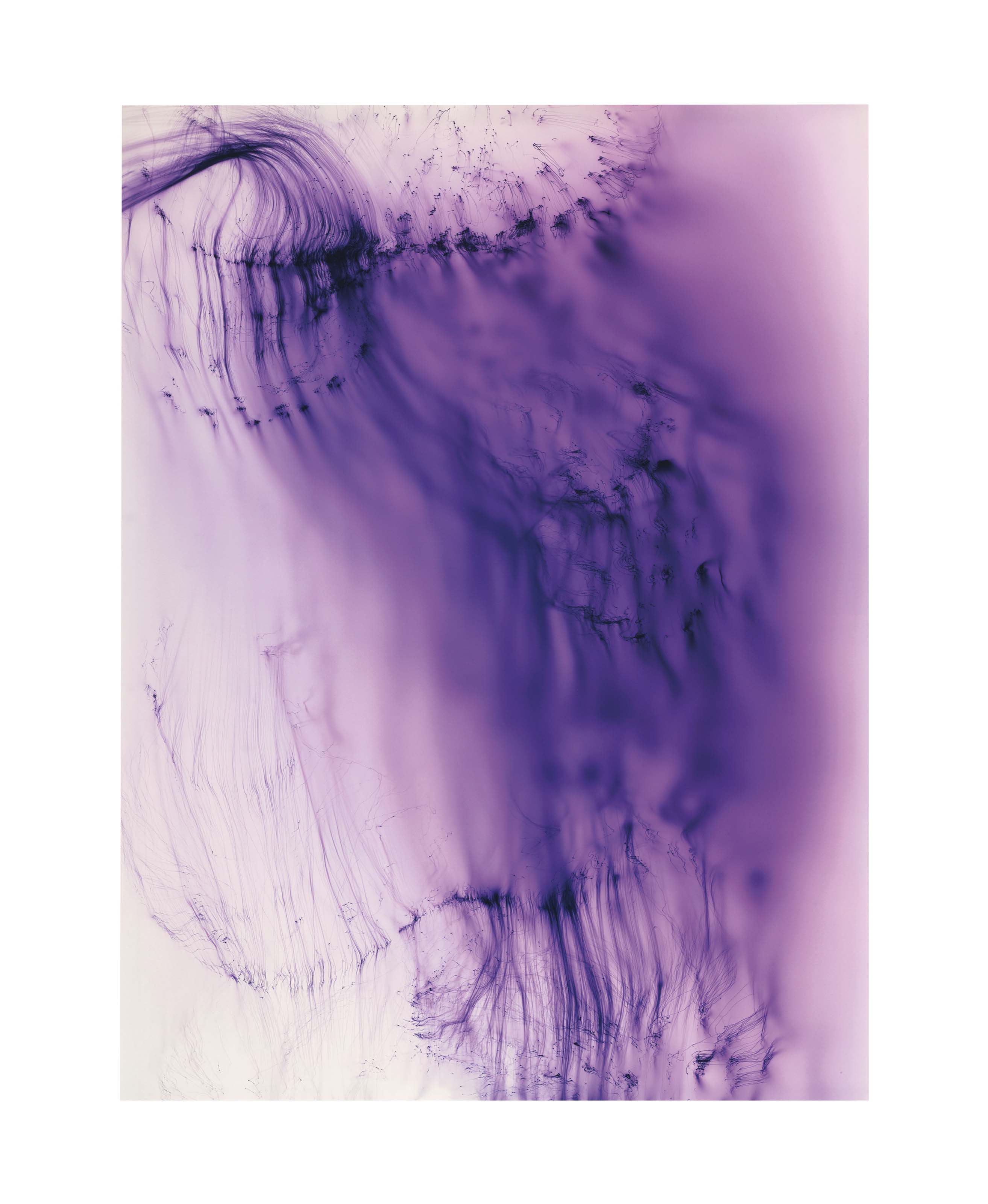 Wolfgang Tillmans (b. 1968), Freischwimmer 102 | Christie's