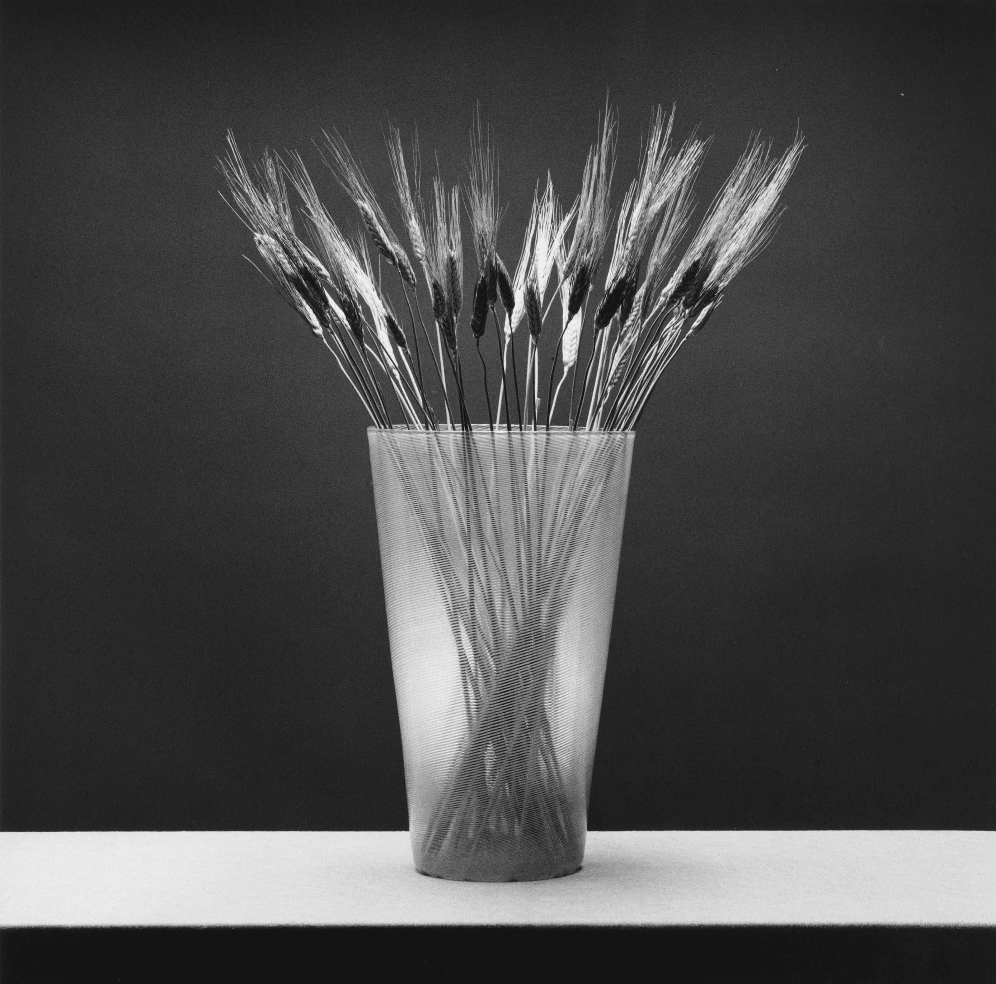 ROBERT MAPPLETHORPE (19461989) , Wheat, 1985 Christie's