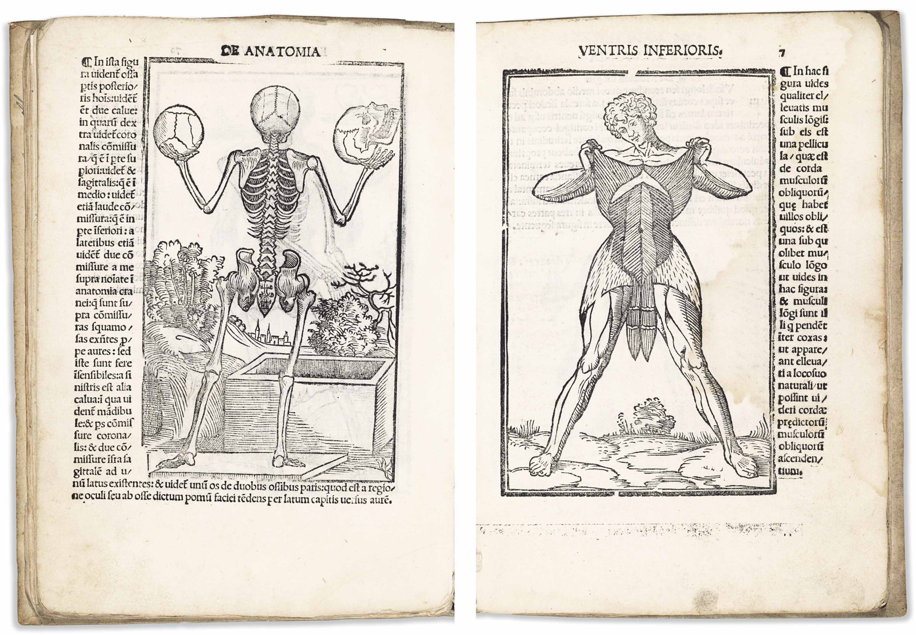 BERENGARIO DA CARPI, (14701530). Isagoge breves perlucide ac