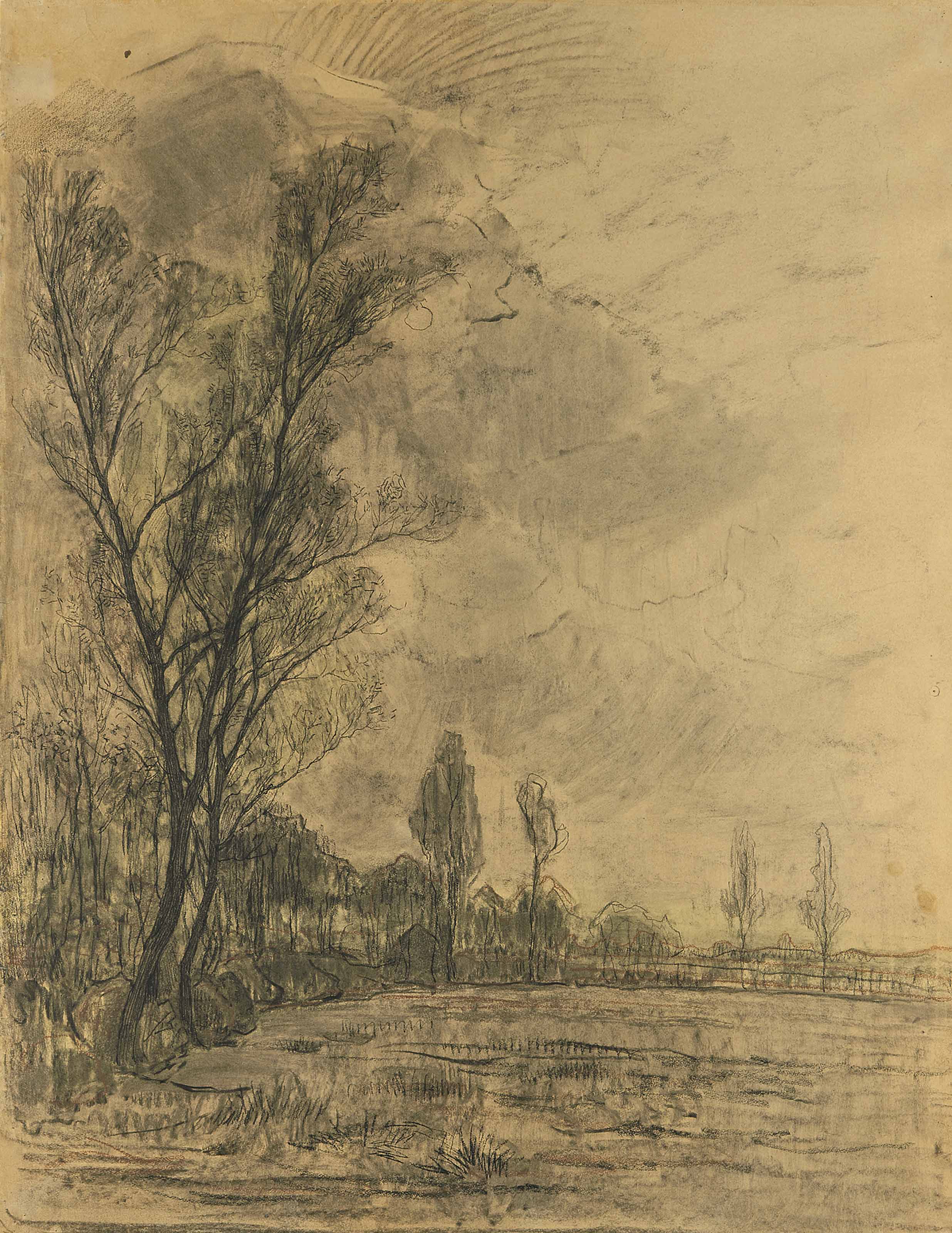 Veld met links een rij bomen