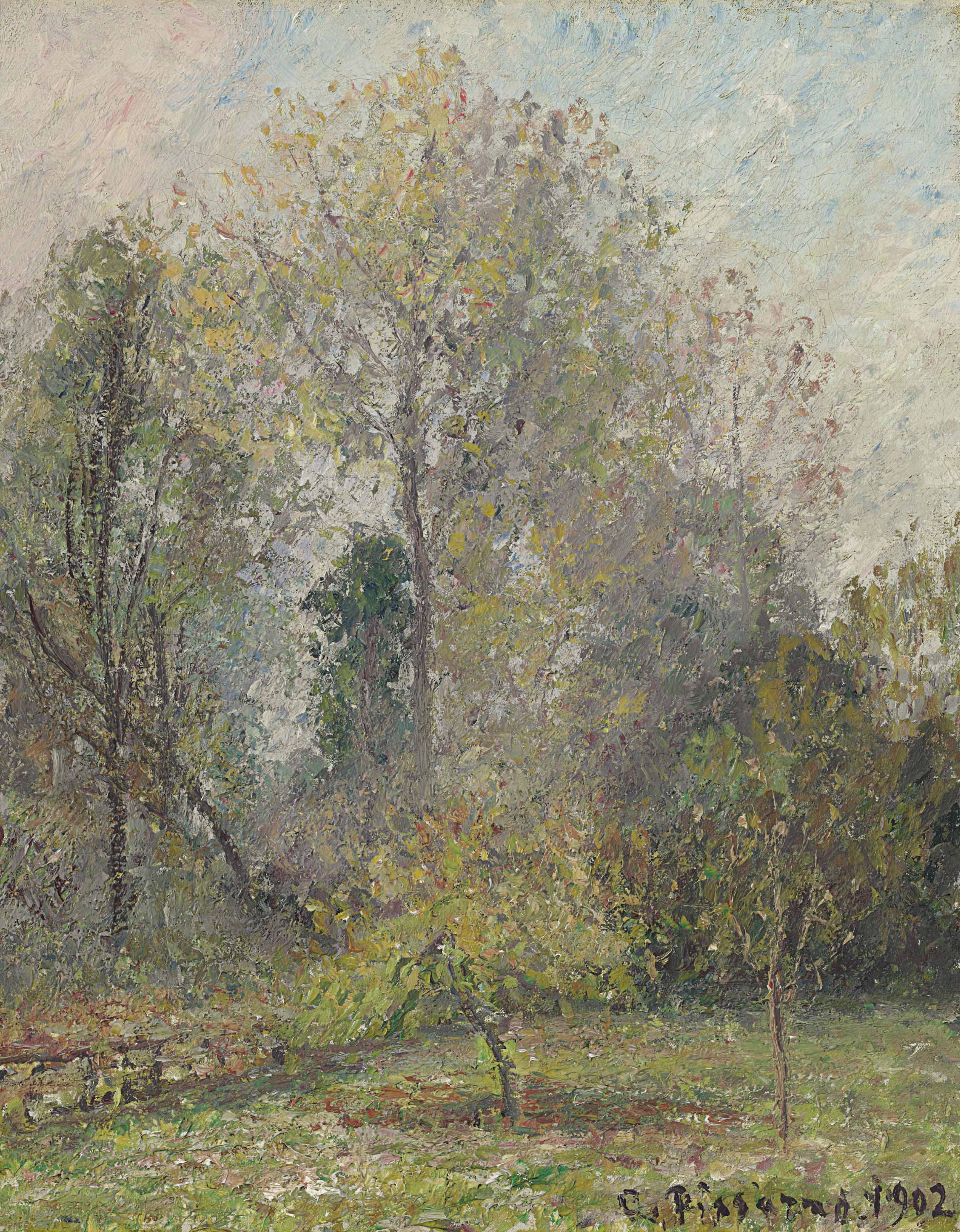 Gelée blanche à Eragny