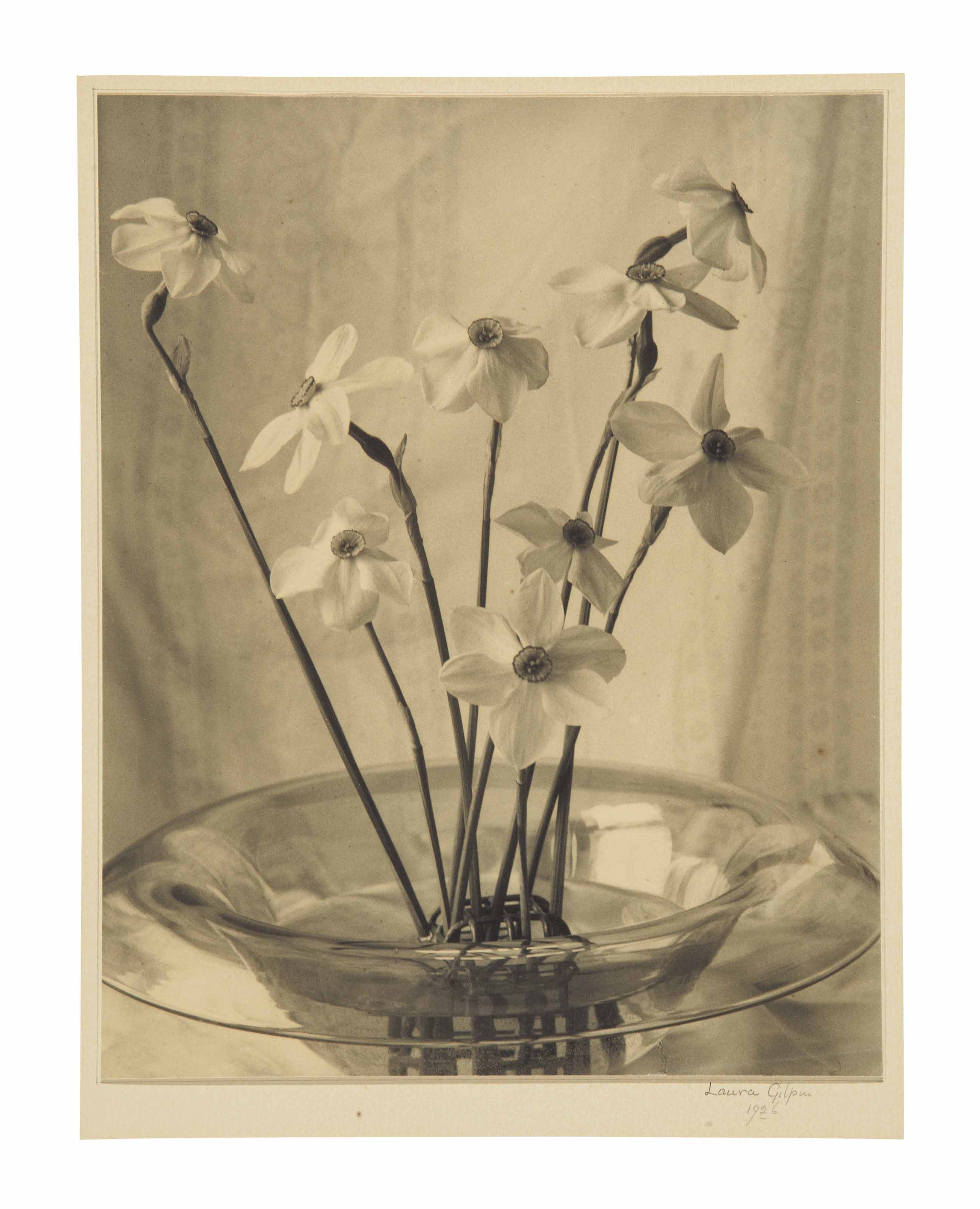 LAURA GILPIN (18911979) , Narcissus, 1926 Christie's