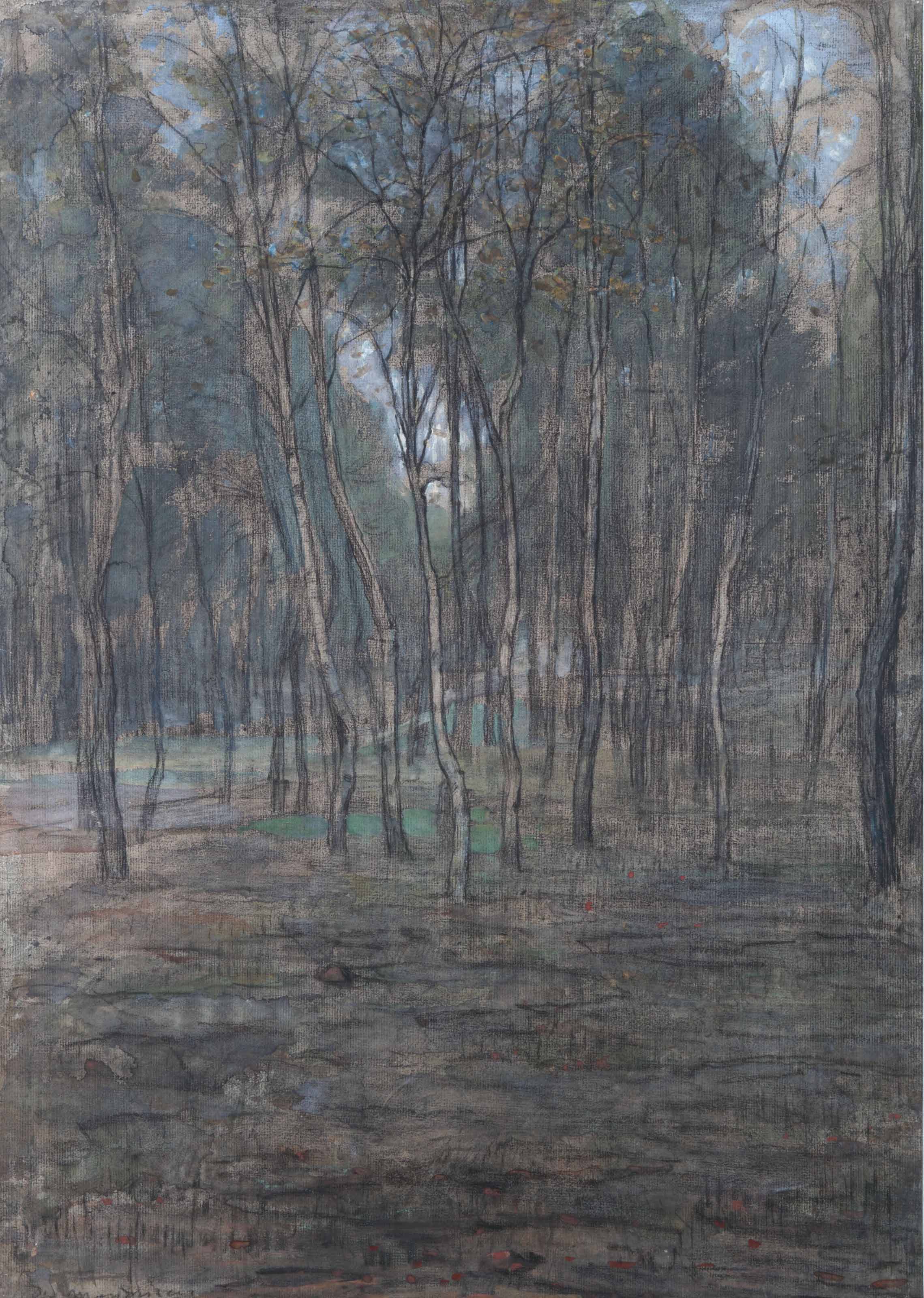 Berkenbosje (Small Birch Forest)
