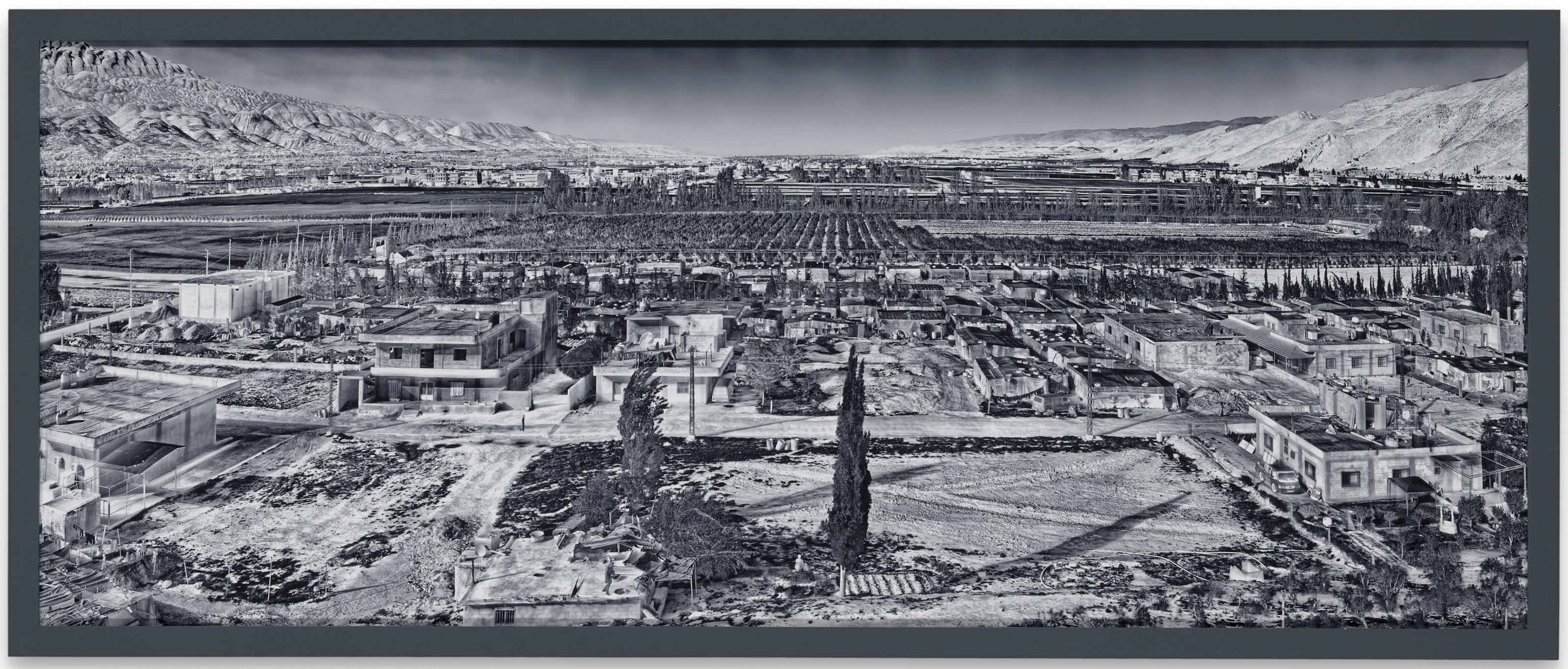 Richard Mosse: upcoming auctions, appraisal insights and free art price ...