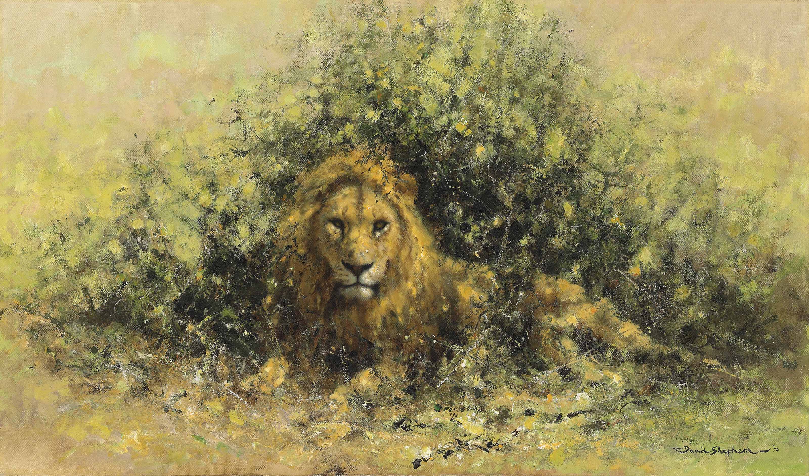the lion and the shepherd