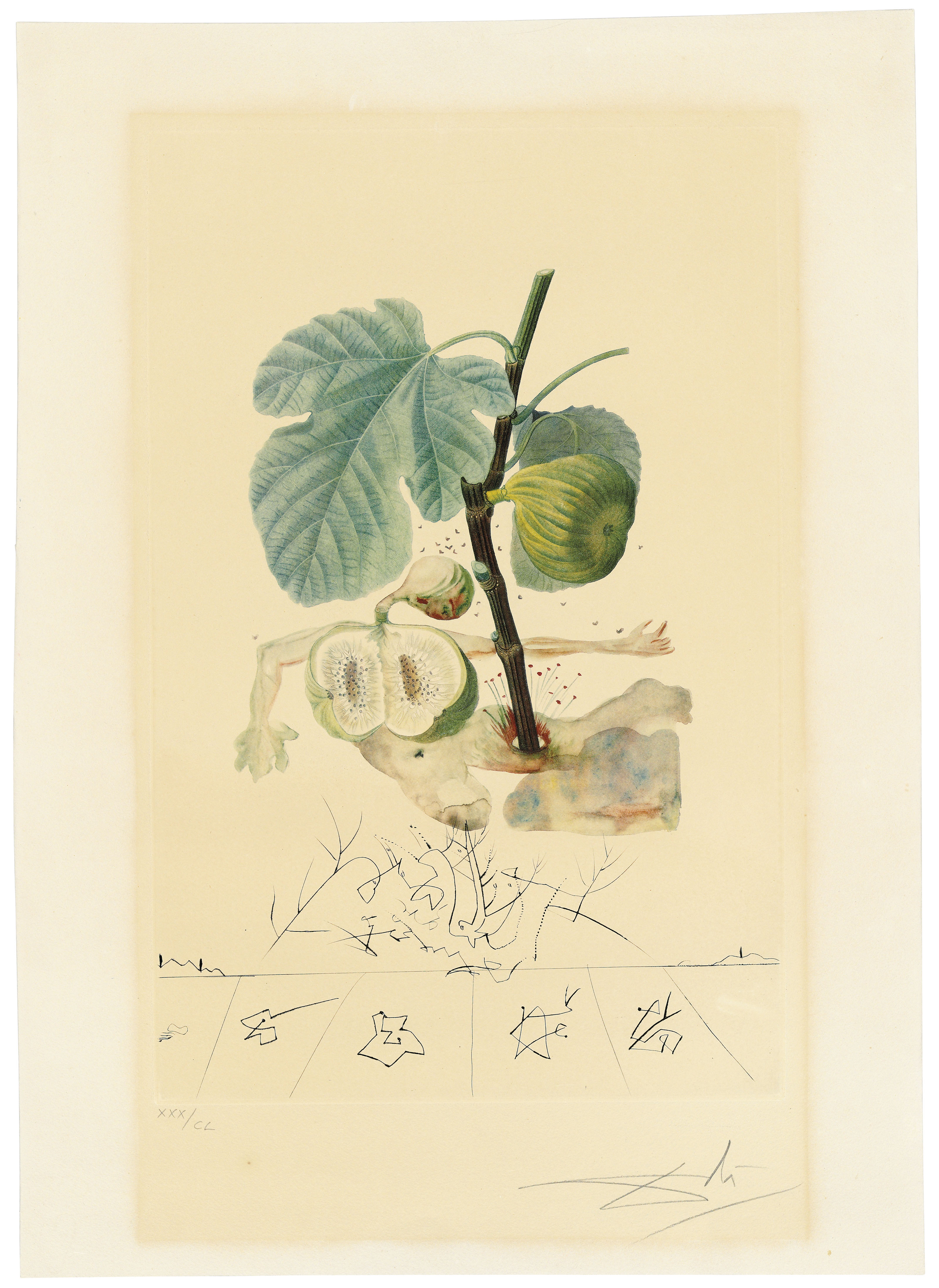 SALVADOR DALI (1904-1989), FlorDalí (Les Fruits) | Christie's