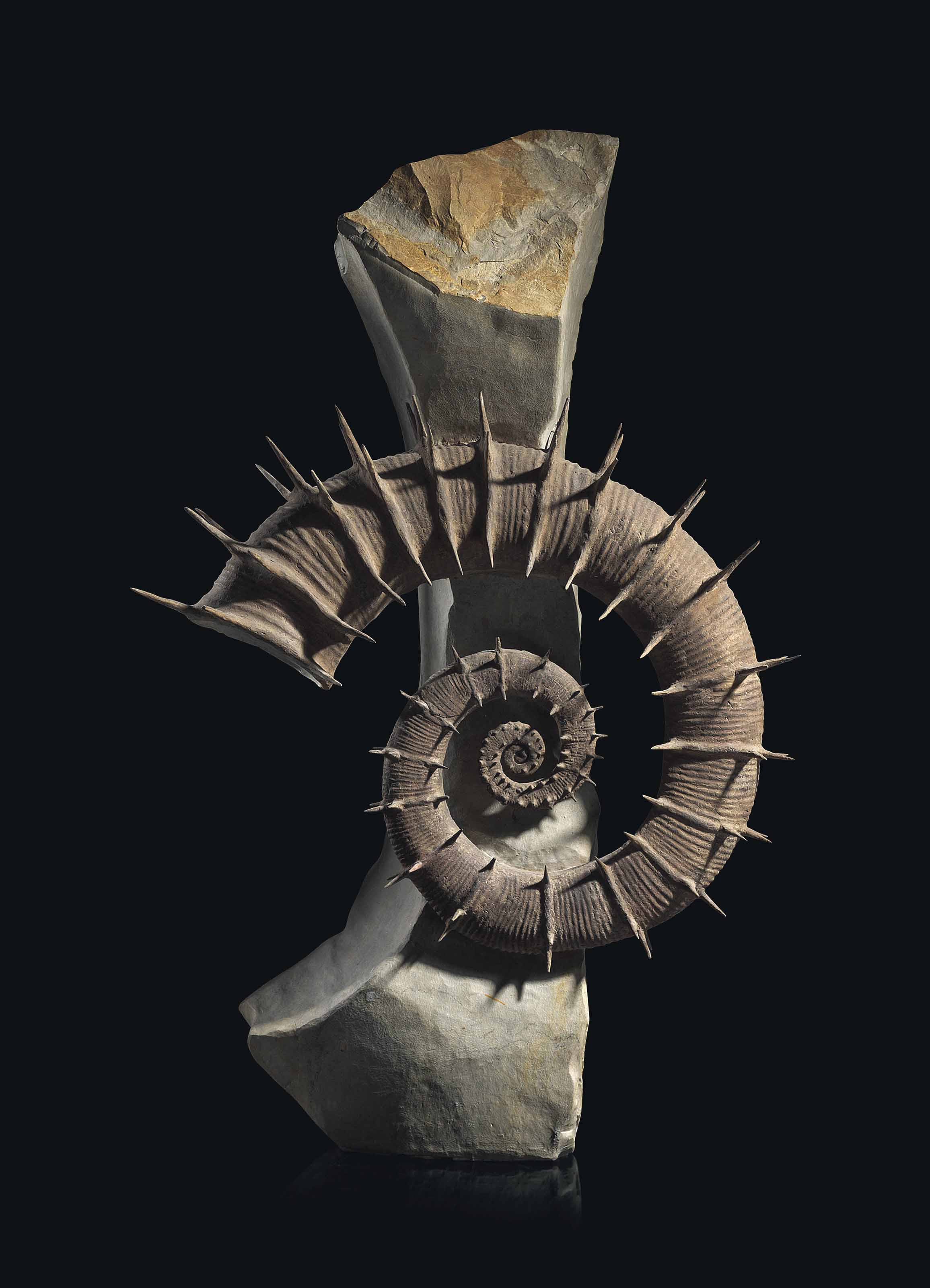 A fine uncoiled spiny ammonite, France. From the Hauterivian, early Cretaceous (circa 133-129 million years ago), sold for £47,500 on 10 July 2018 at Christie's in London
