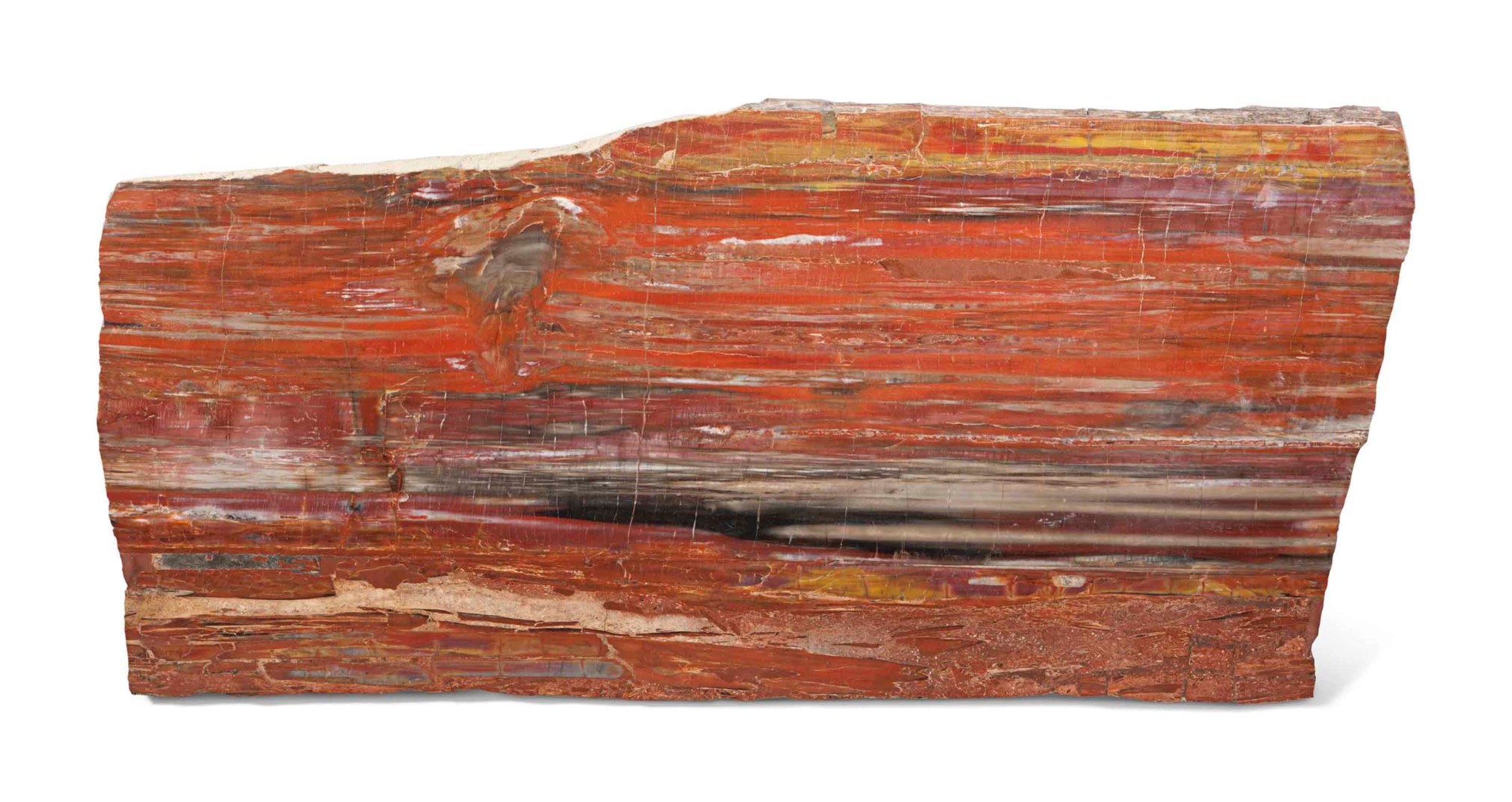 A LARGE SLICE OF PETRIFIED WOOD, NORTHERN ARIZONA Christie's